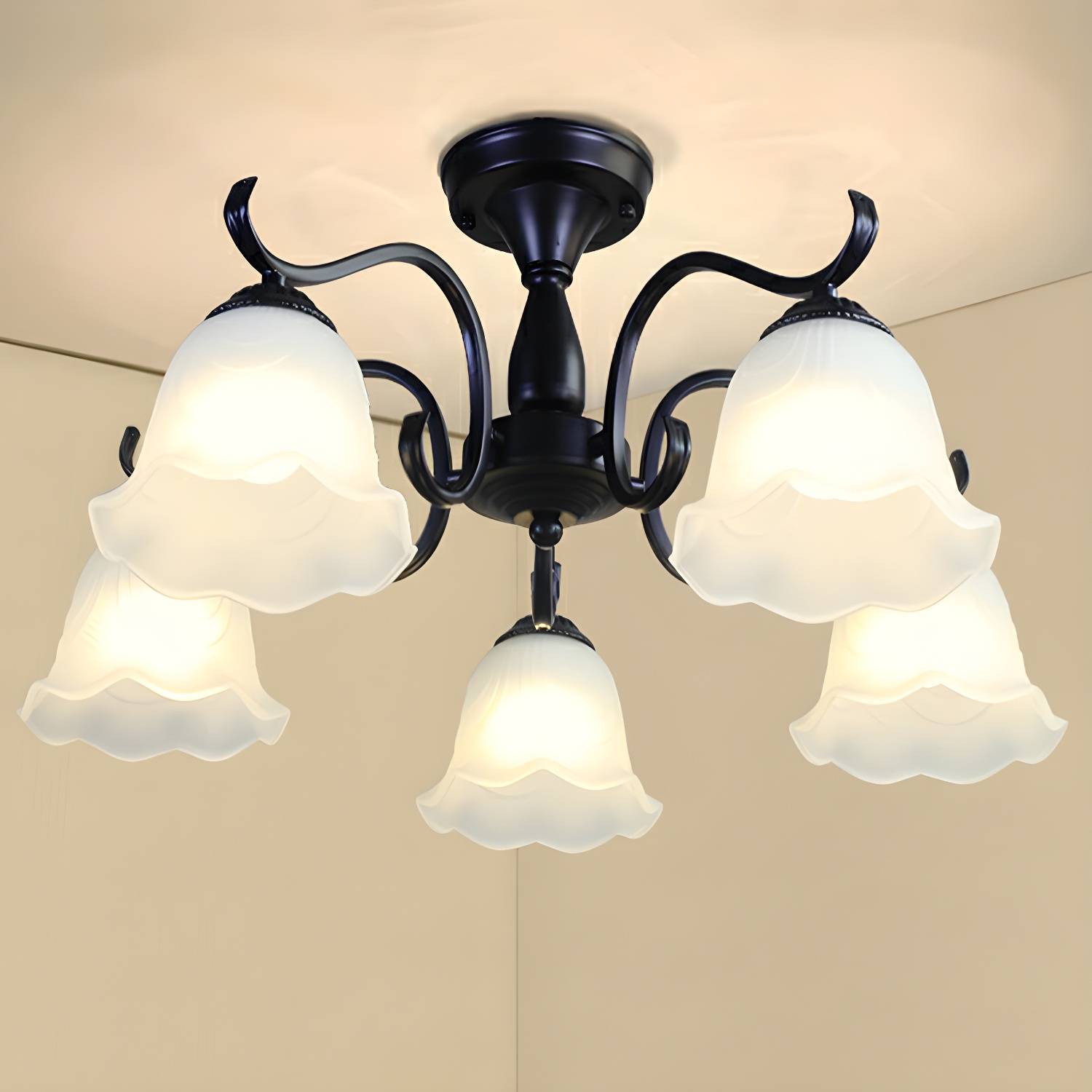 Imported image 5b7c2d5c65e5 2092249.jpg