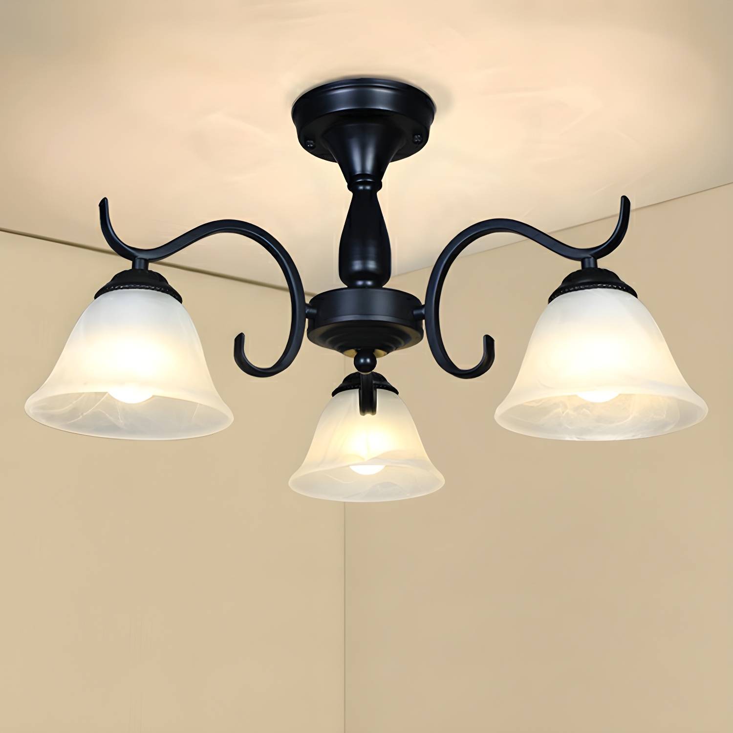 Imported image d48f7f55b545 2092256.jpg