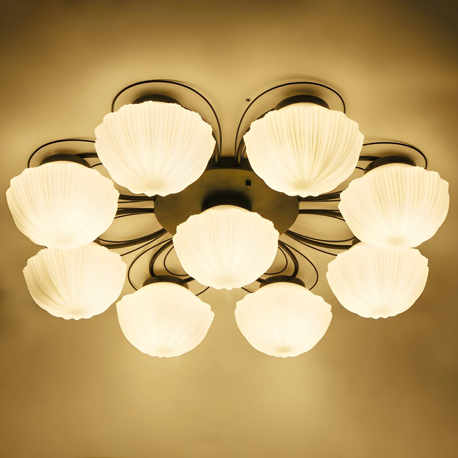 Imported image f370c1975829 2092269.jpg