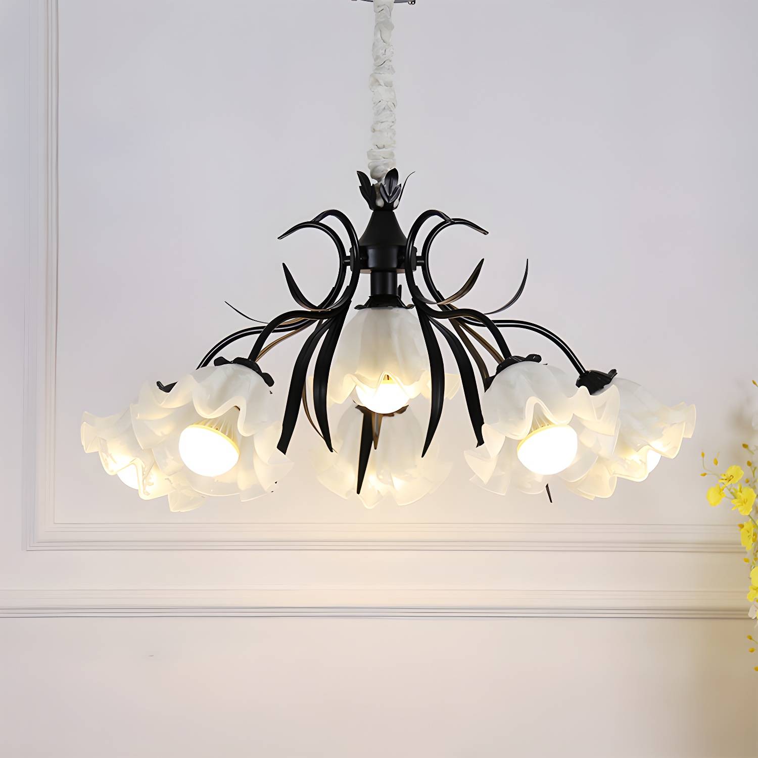 Imported image bd6427b8167d 2092455.jpg