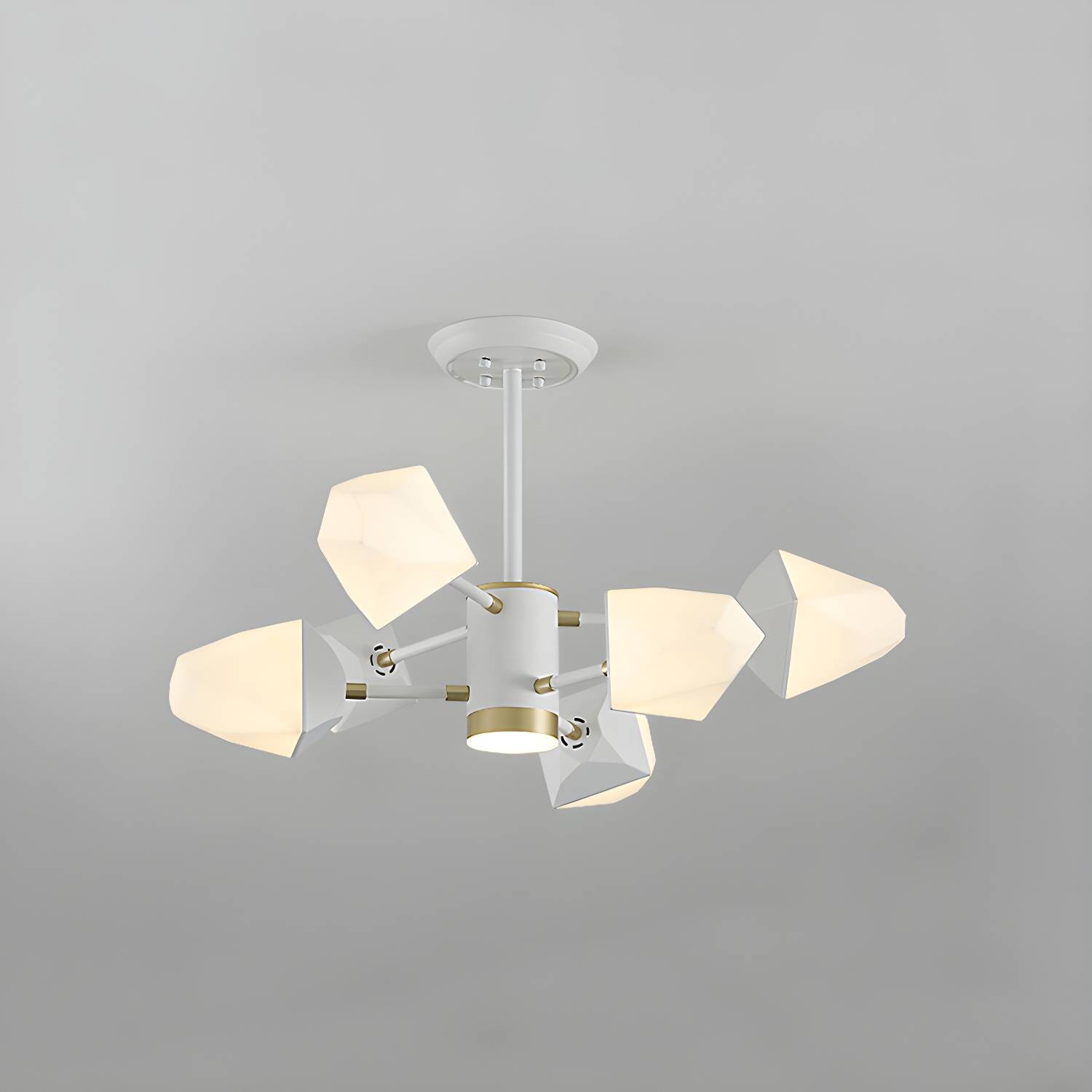 Imported image 825eb5d09446 2121309.jpg