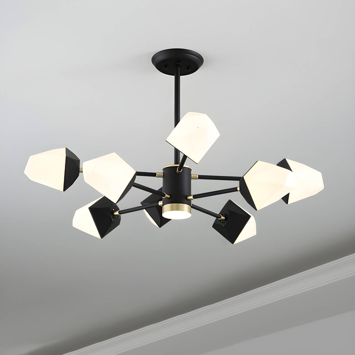 Imported image cfff0286f610 2121311.jpg