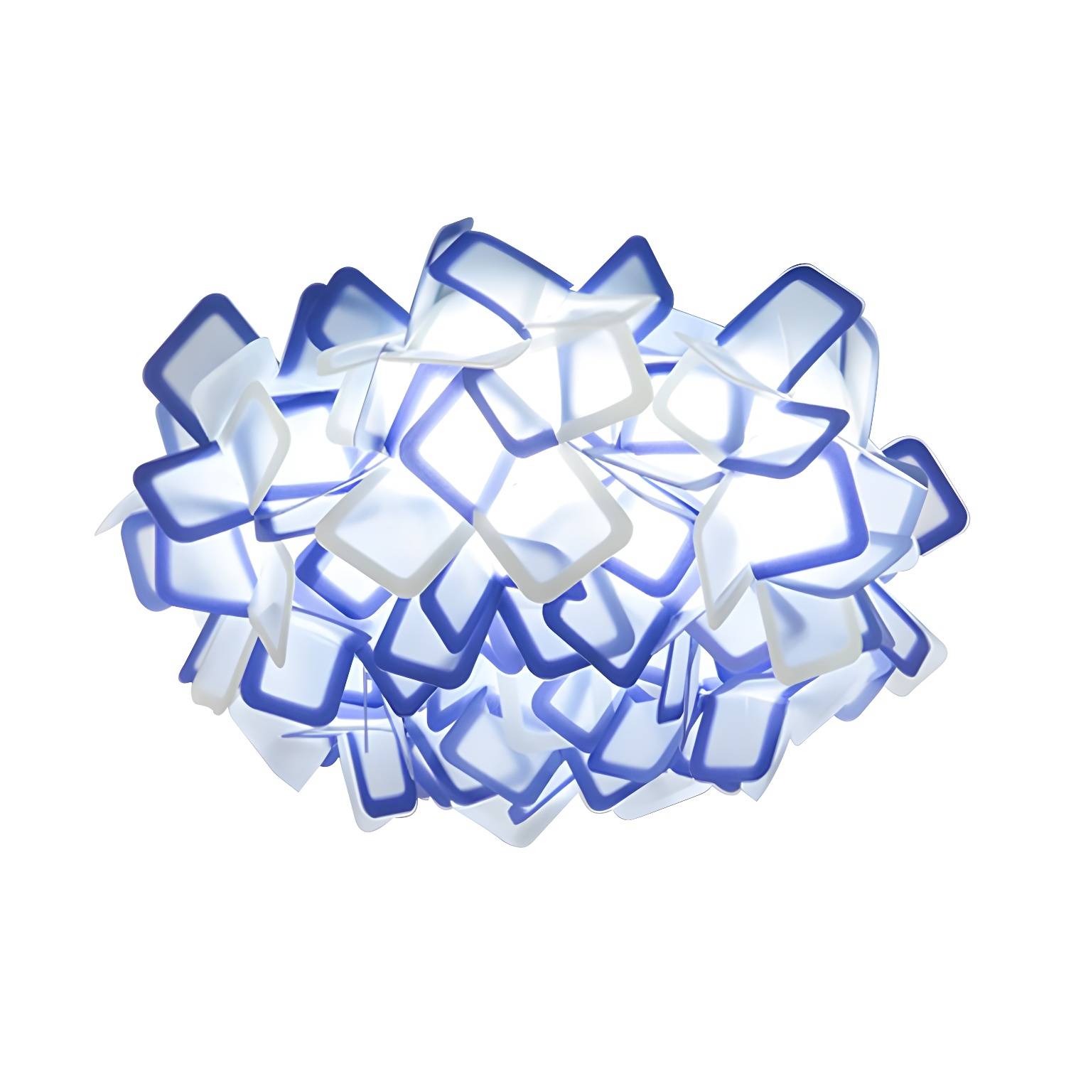 Imported image 99bb8e21cbb5 212202.jpg