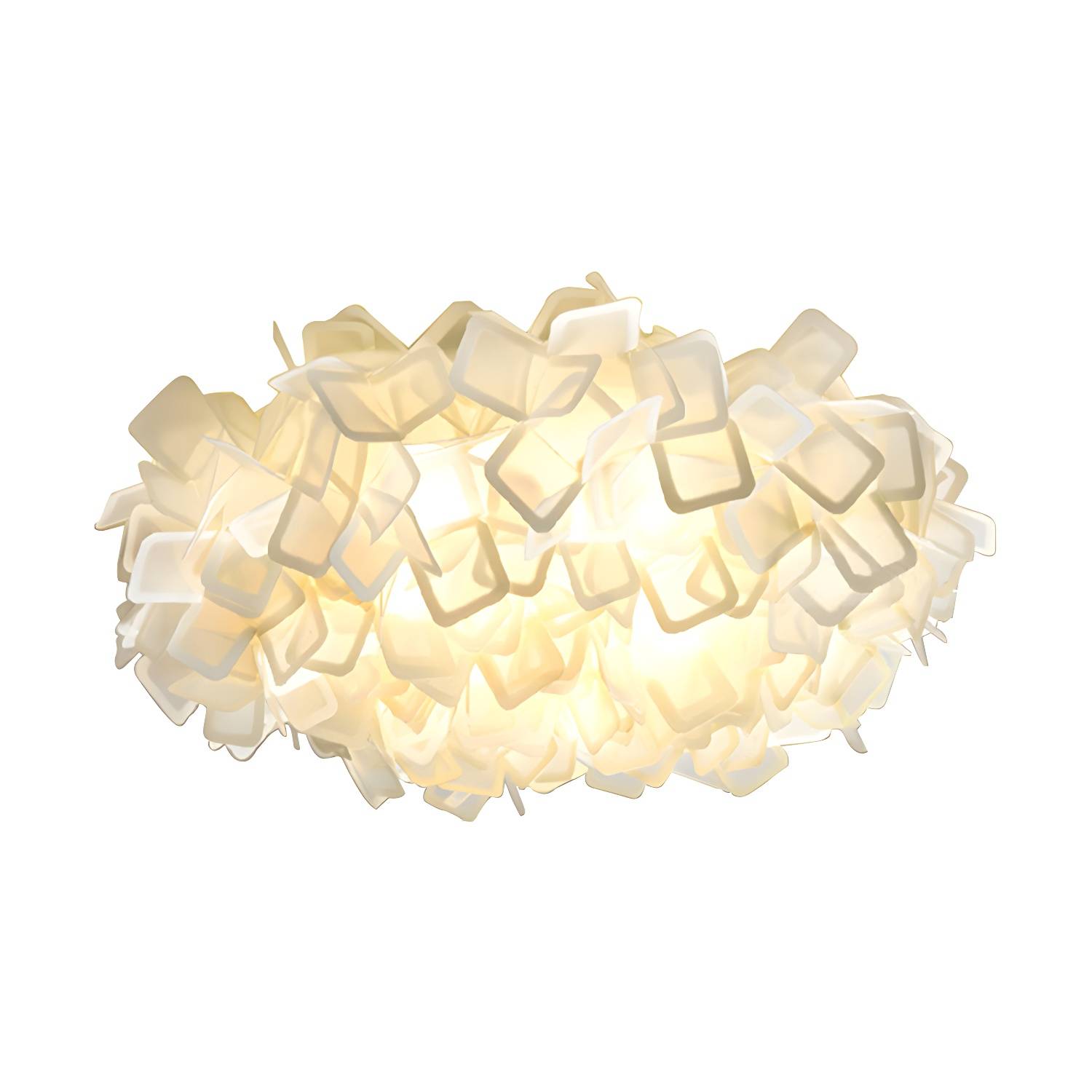 Imported image 5002373fbc16 212206.jpg