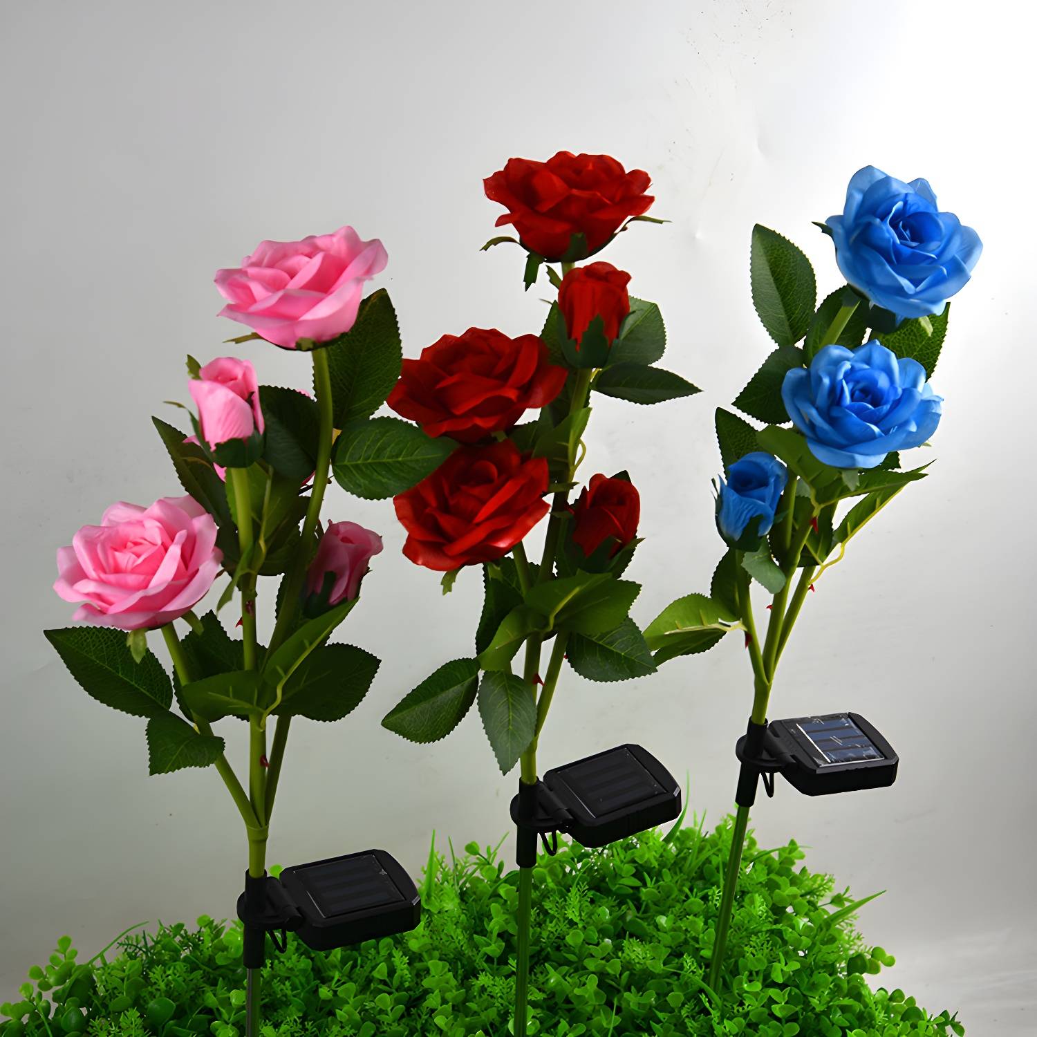 Imported image bfe17599bb9c 2135347.jpg