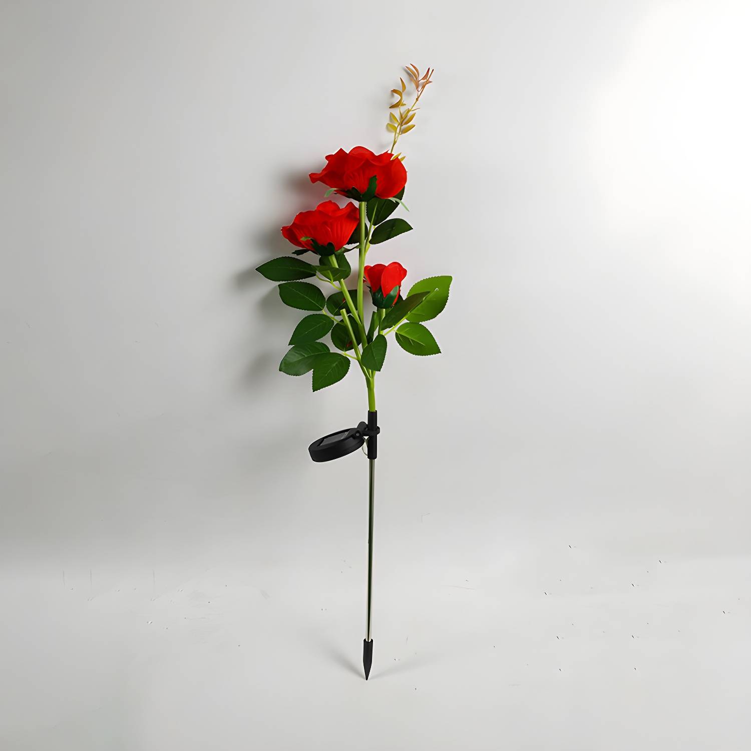 Imported image 2019f5b65ab4 2135350.jpg