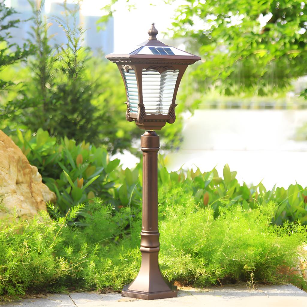 Imported image c6aa55b8b5c7 2135685.jpg
