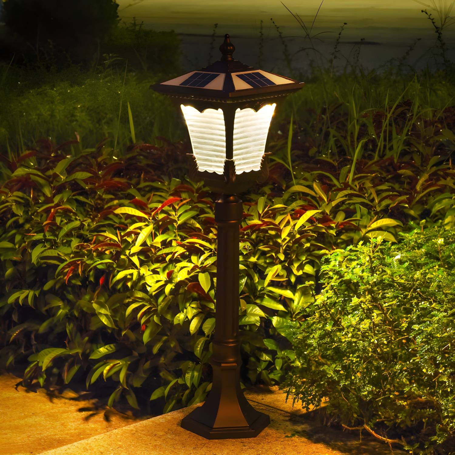 Imported image 8097d6e12f3d 2135687.jpg
