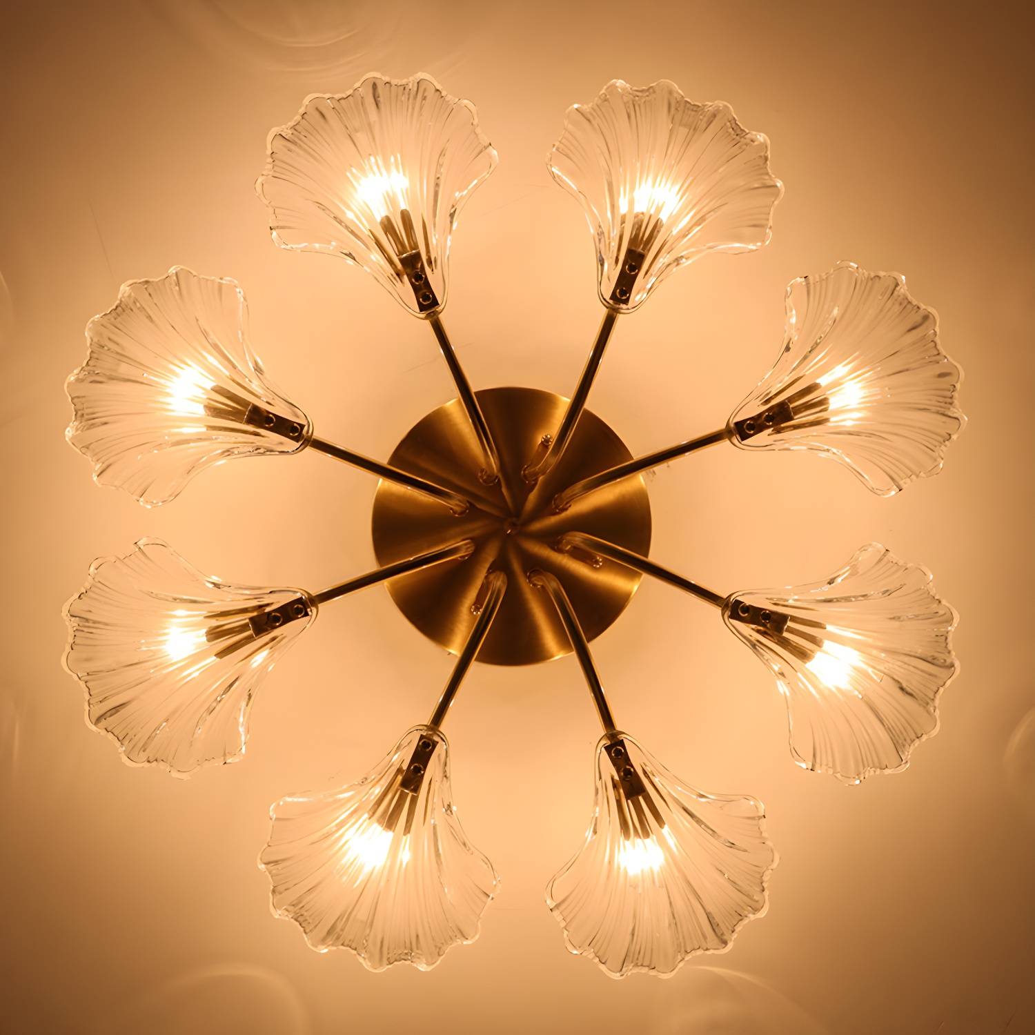 Imported image 1c57add9a4bc 2136246.jpg