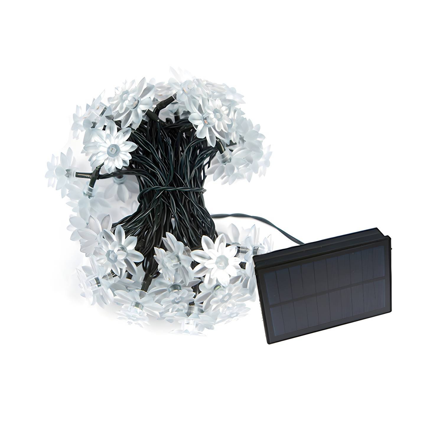 Imported image 0dbd22ffa2ac 2137012.jpg