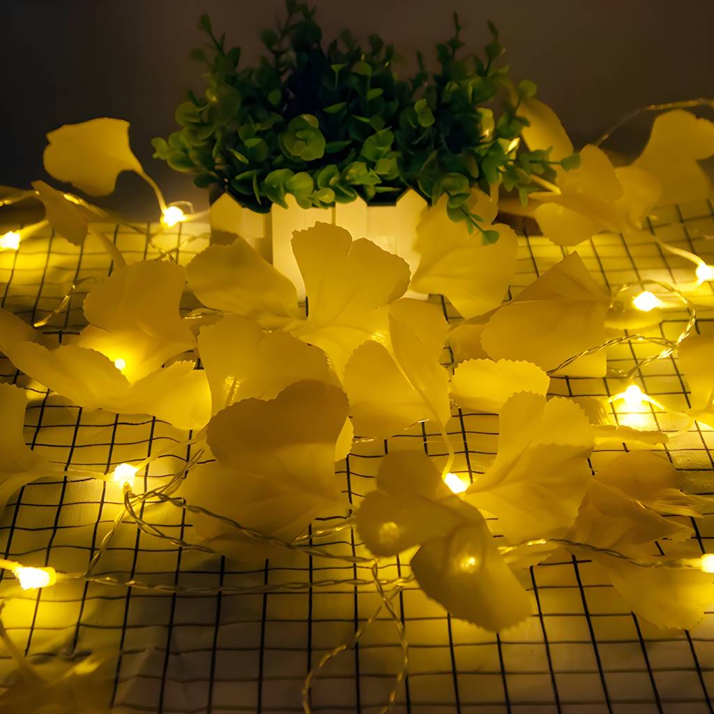 Imported image b7aa6be13cb3 2137217.jpg