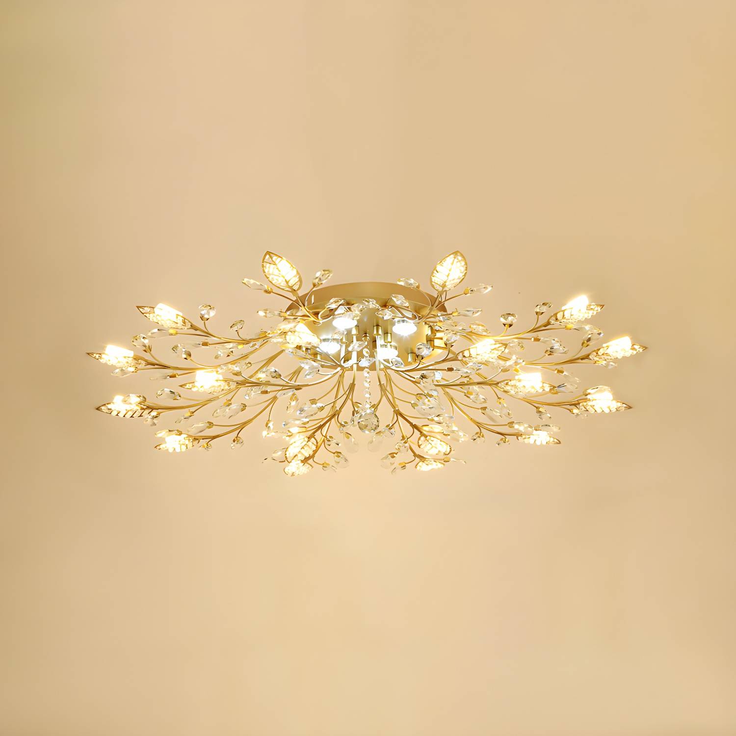 Imported image d8d04792cb56 2138130.jpg