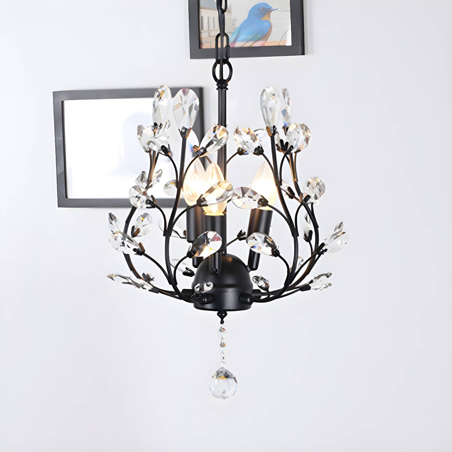 Imported image 590bd033998d 2138152.jpg