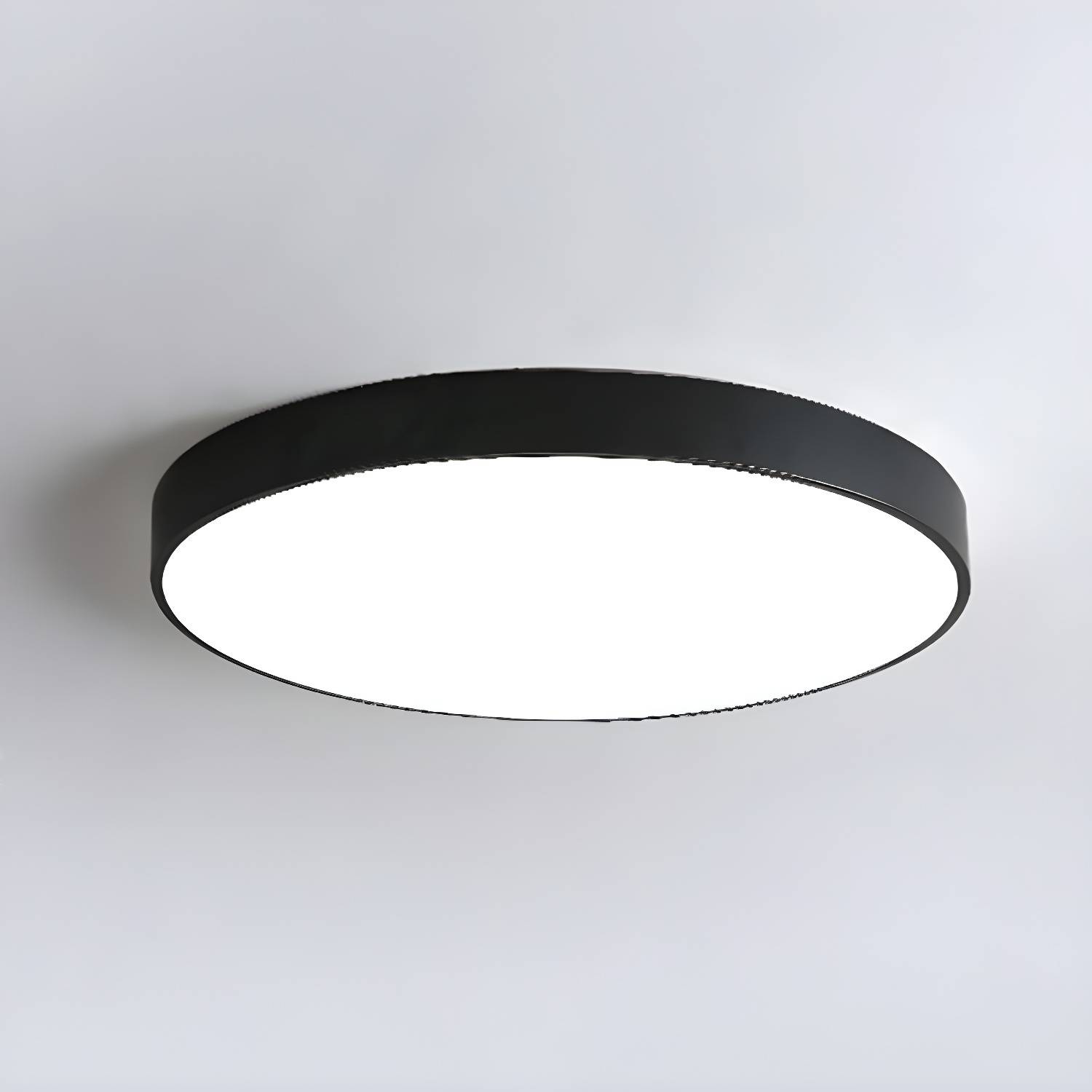 Imported image e01675861862 2162195.jpg