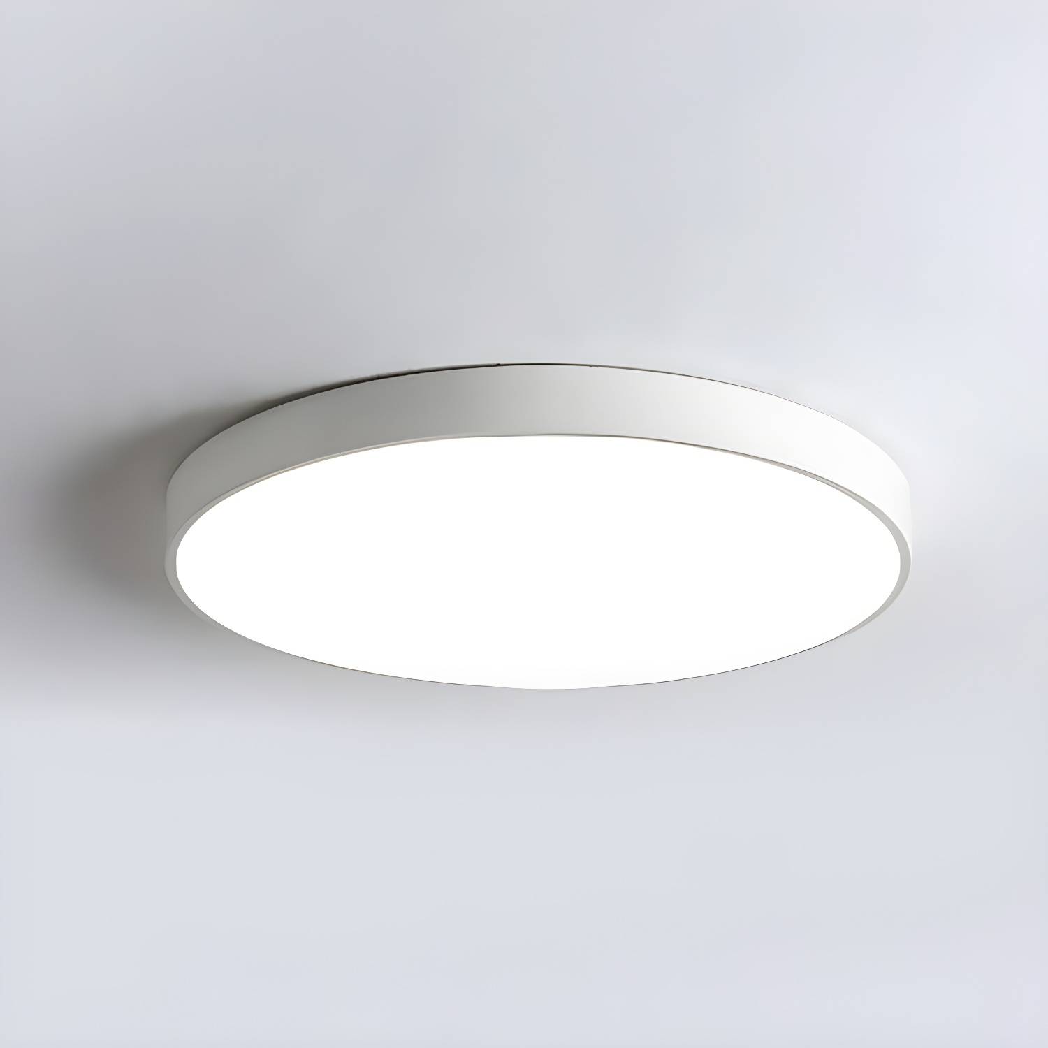 Imported image be09e3384dea 2162197.jpg