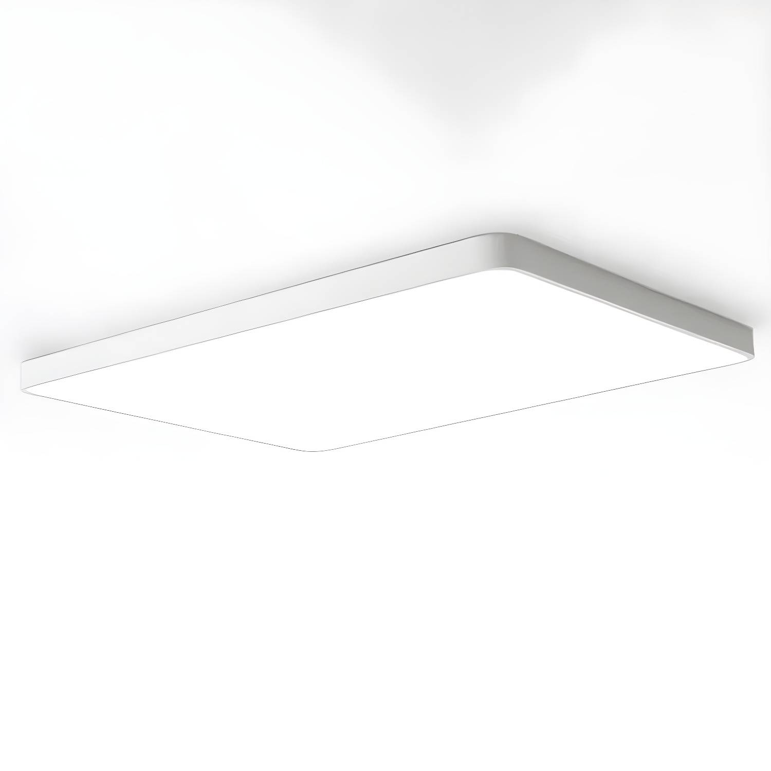 Imported image d69e691b228d 2162203.jpg