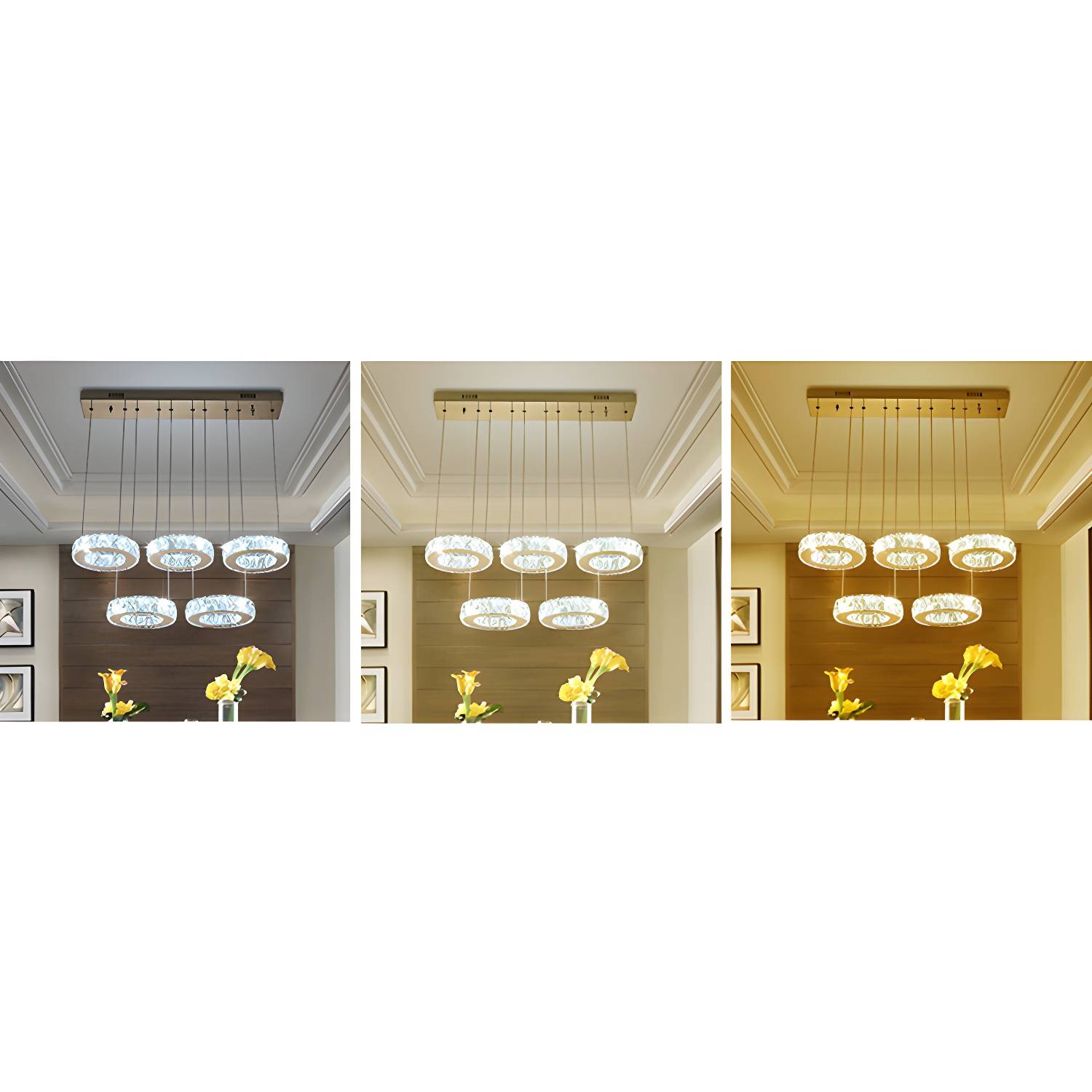 Imported image ef455c4ef2b5 2172497.jpg