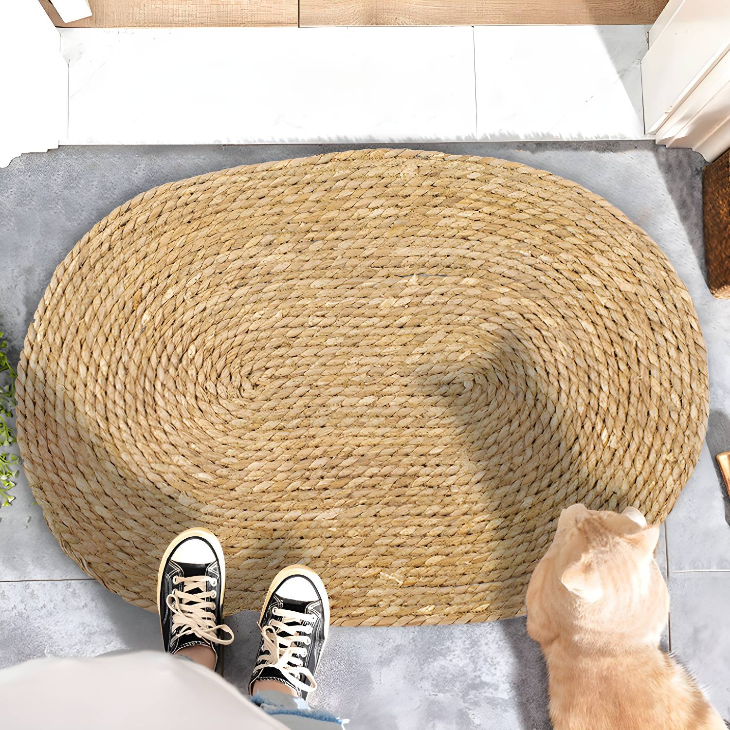 Imported image 44c1eb83121f 2198818.jpg