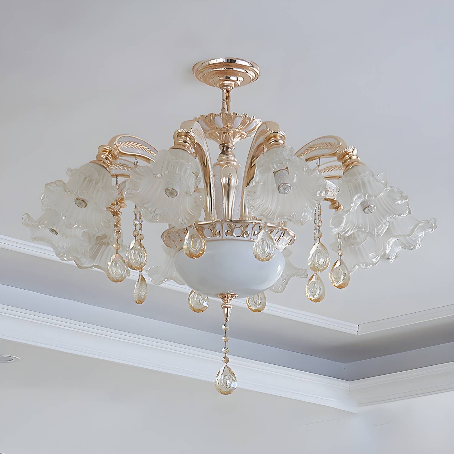 Imported image d30ae3b15087 2204985.jpg
