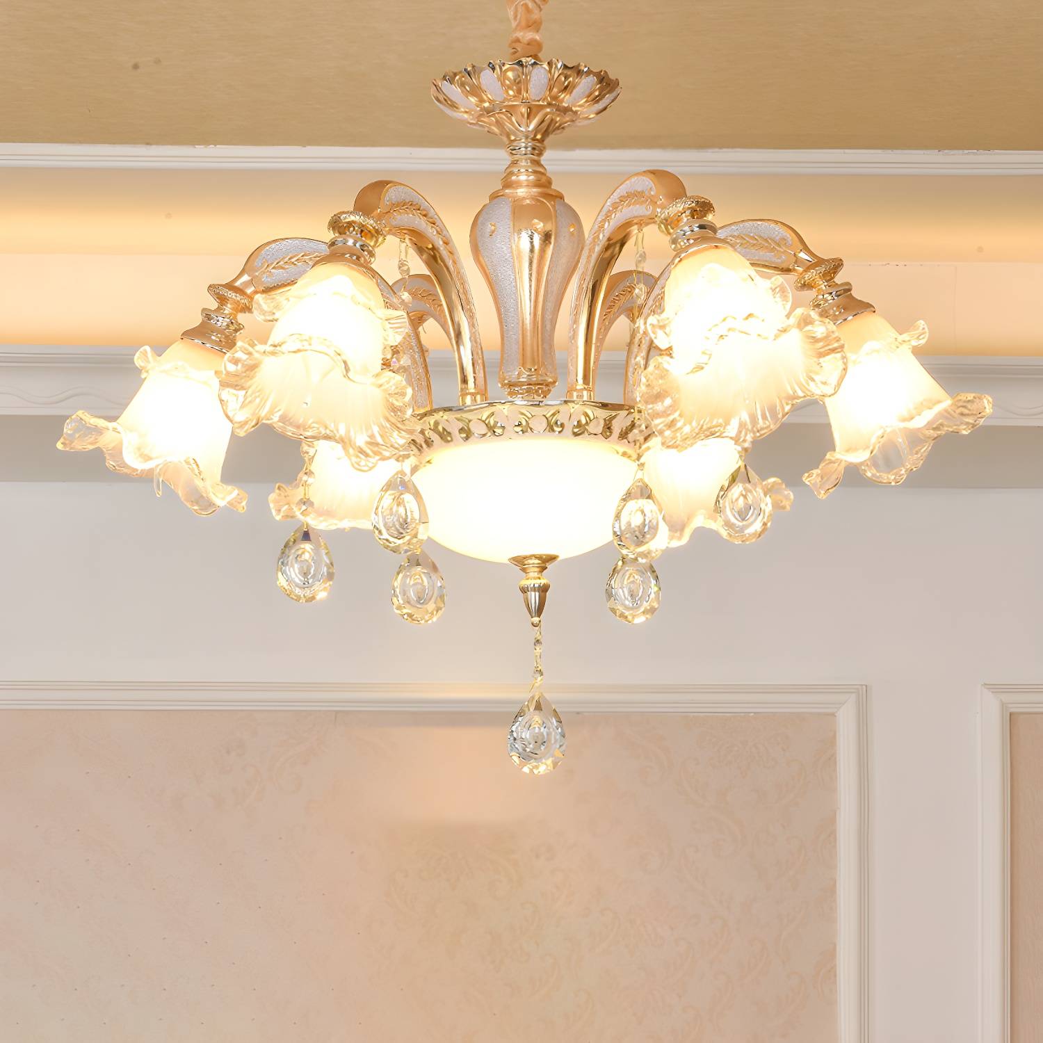 Imported image fa0efc098da7 2205004.jpg