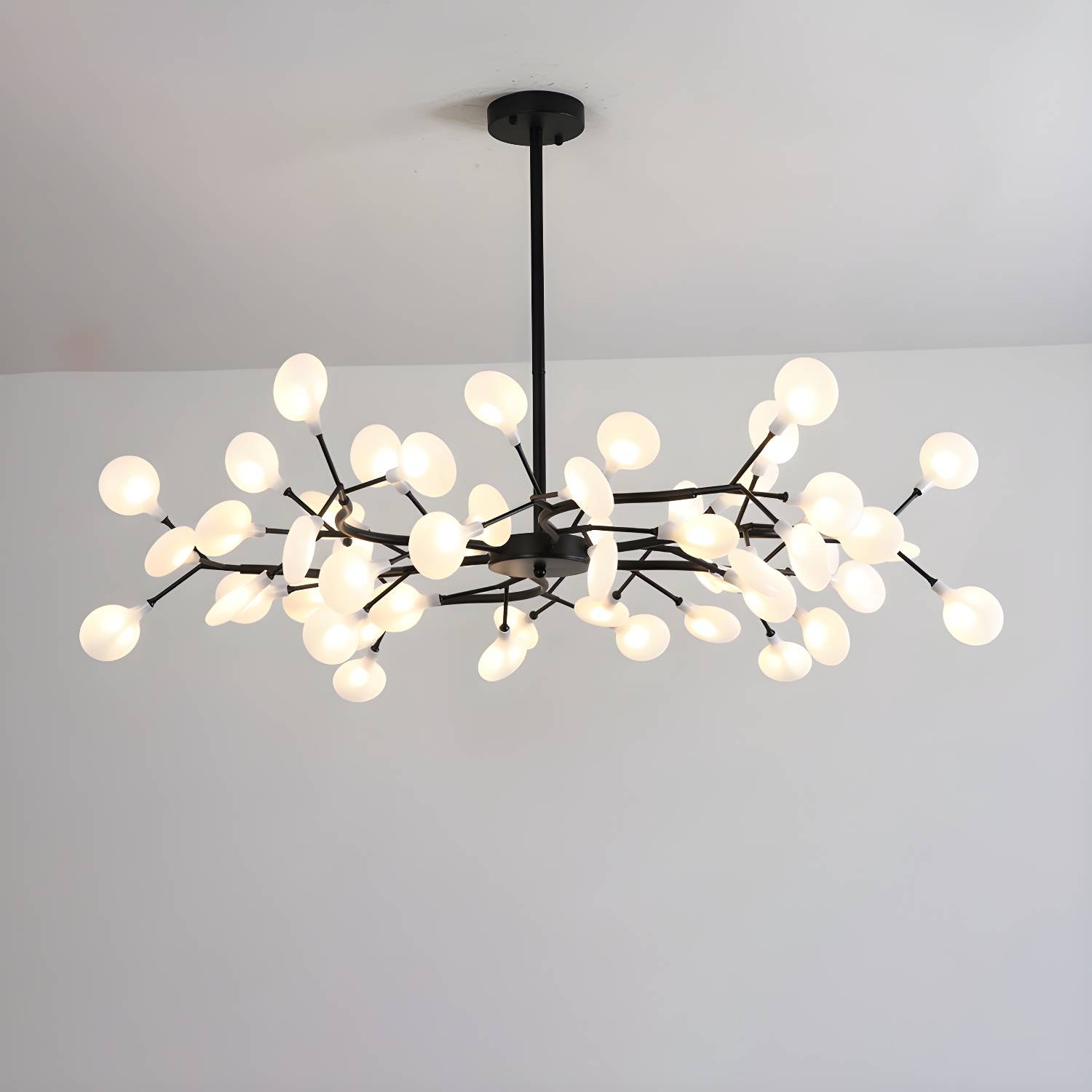 Imported image 8bb1f9b53bed 2205123.jpg