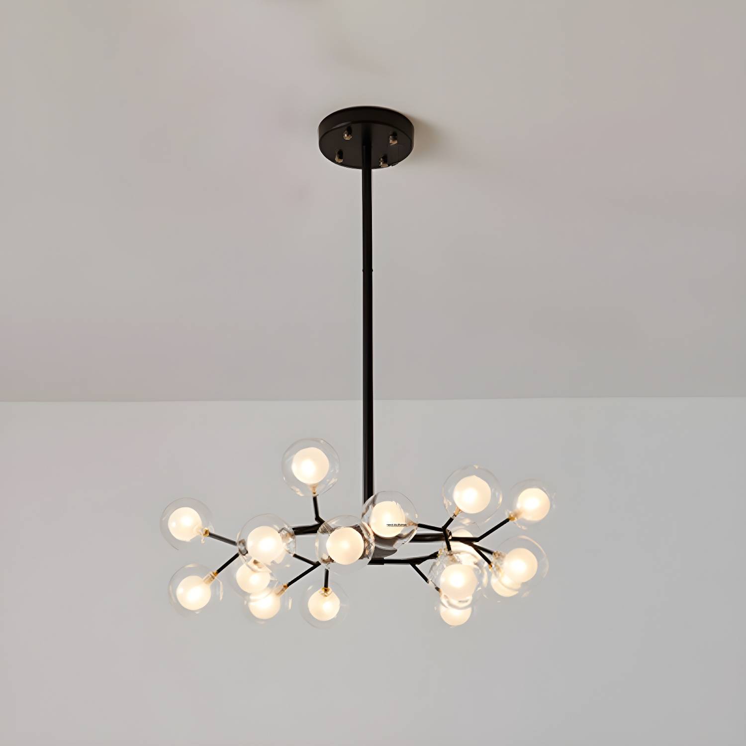 Imported image c2af697296d3 2205198.jpg