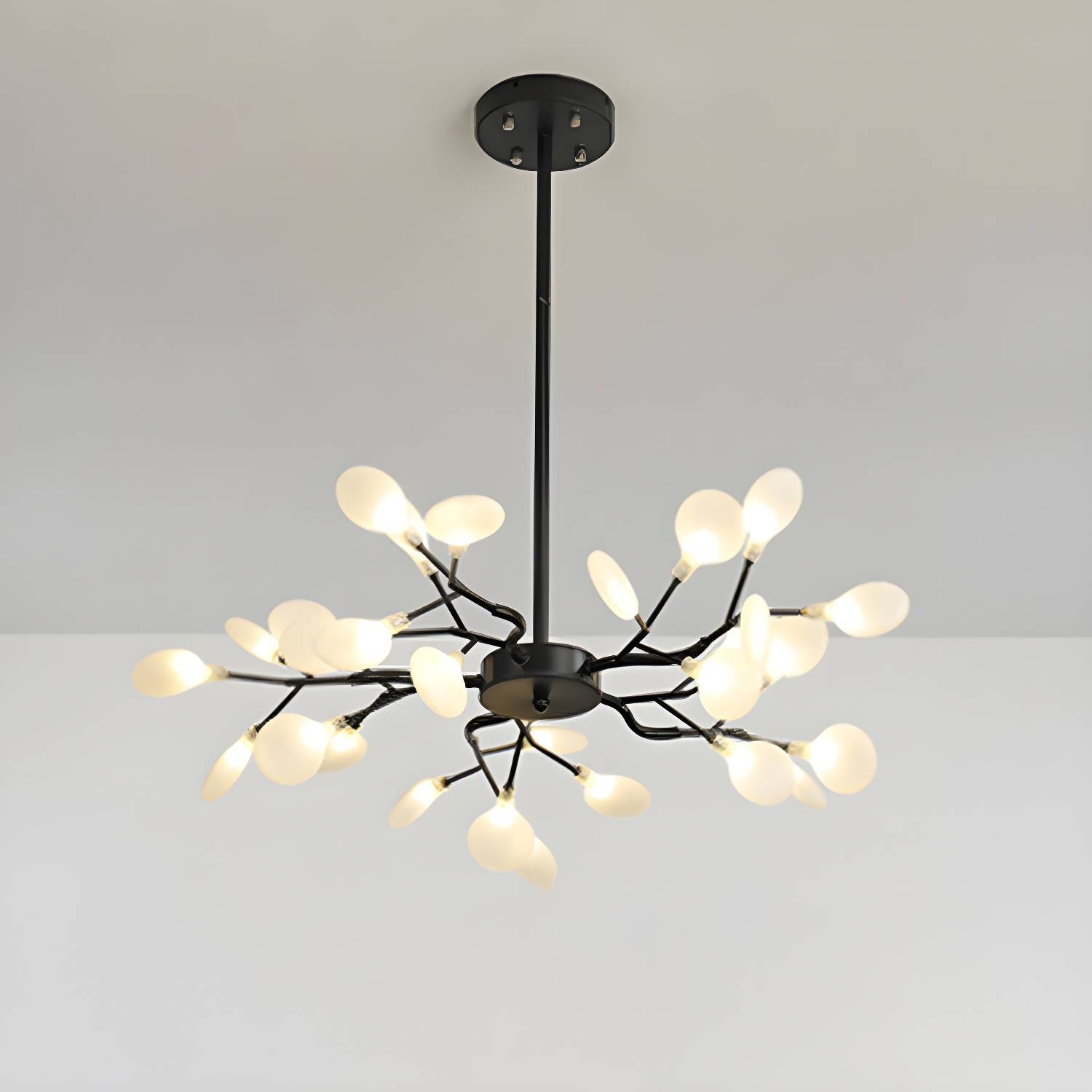 Imported image fc95f59a6d6b 2205203.jpg