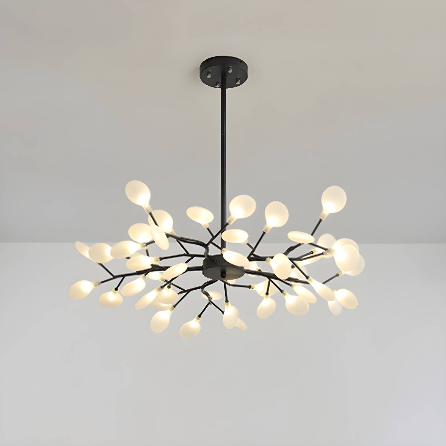 Imported image bfbb5d2826ec 2205204.jpg