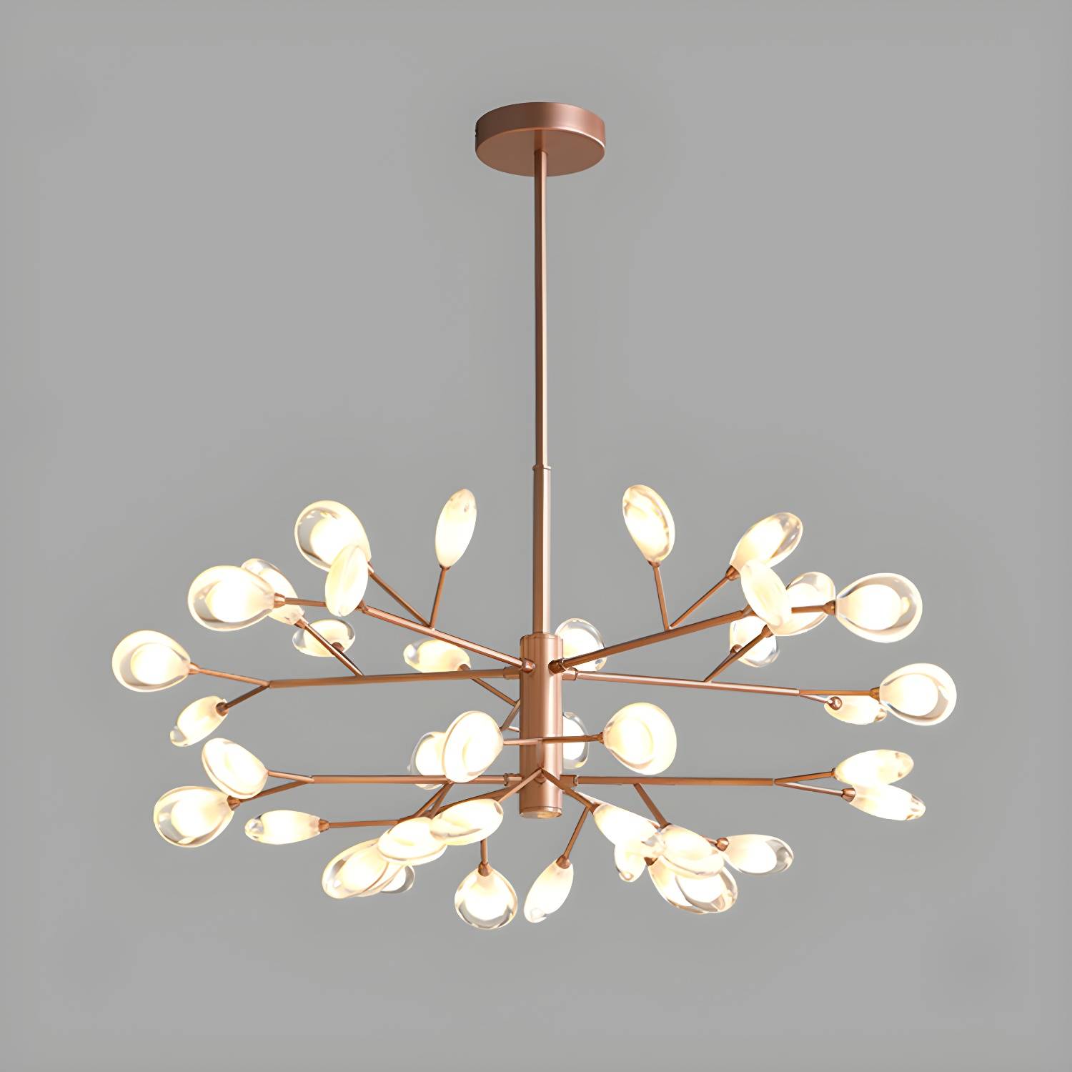Imported image fc9628fb79ee 2205807.jpg