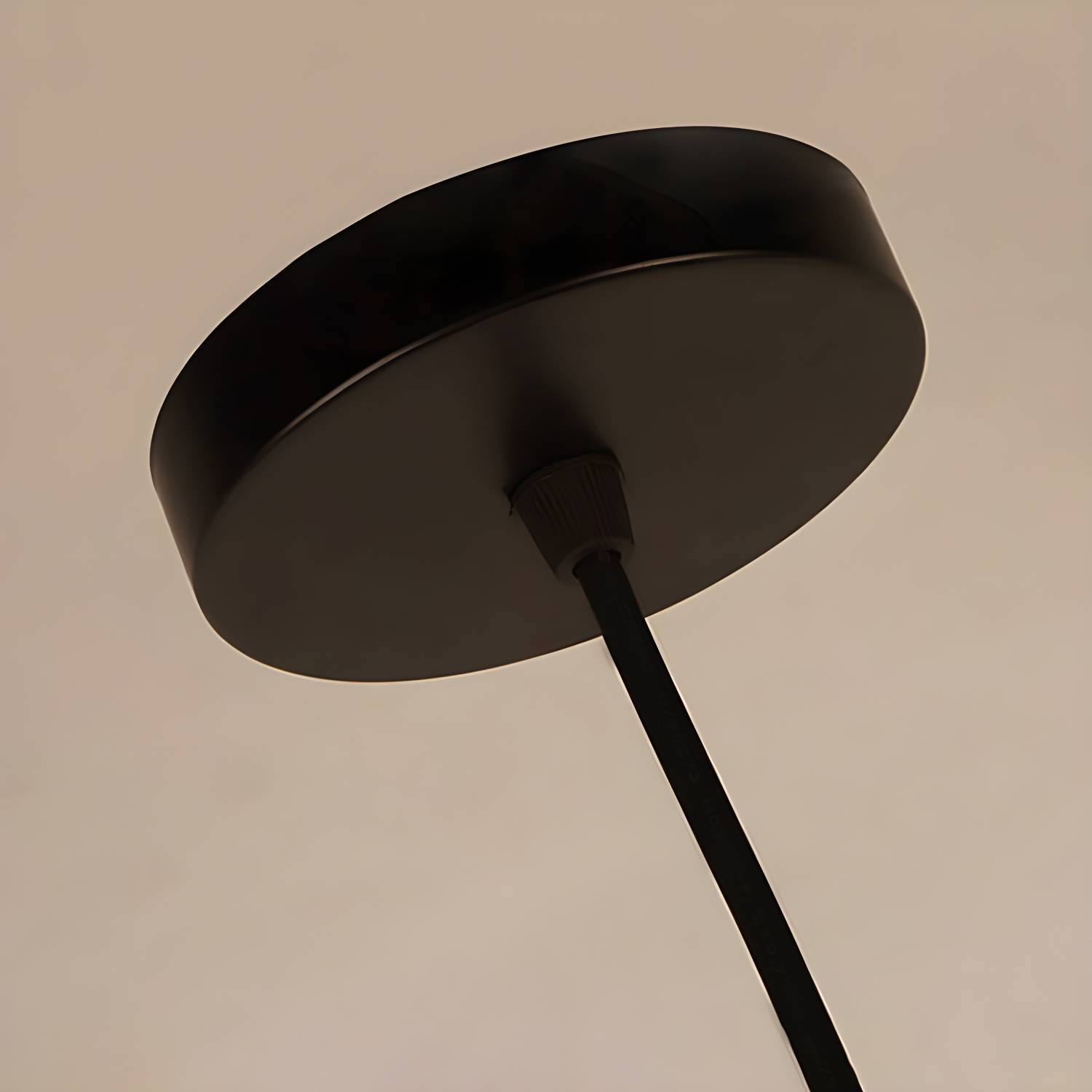 Imported image 5e67e70766b3 2227766.jpg