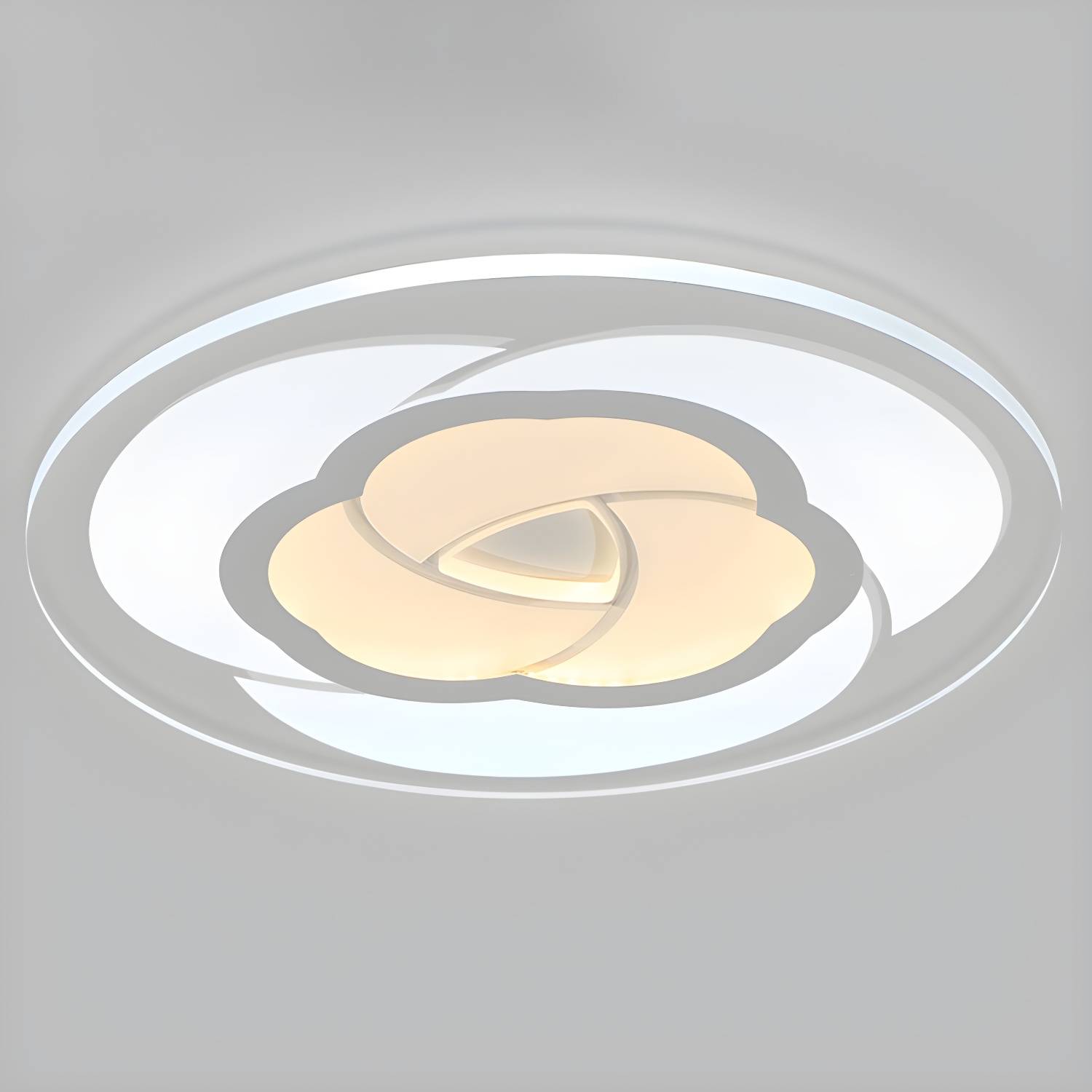 Imported image 61738bcf473a 2228019.jpg
