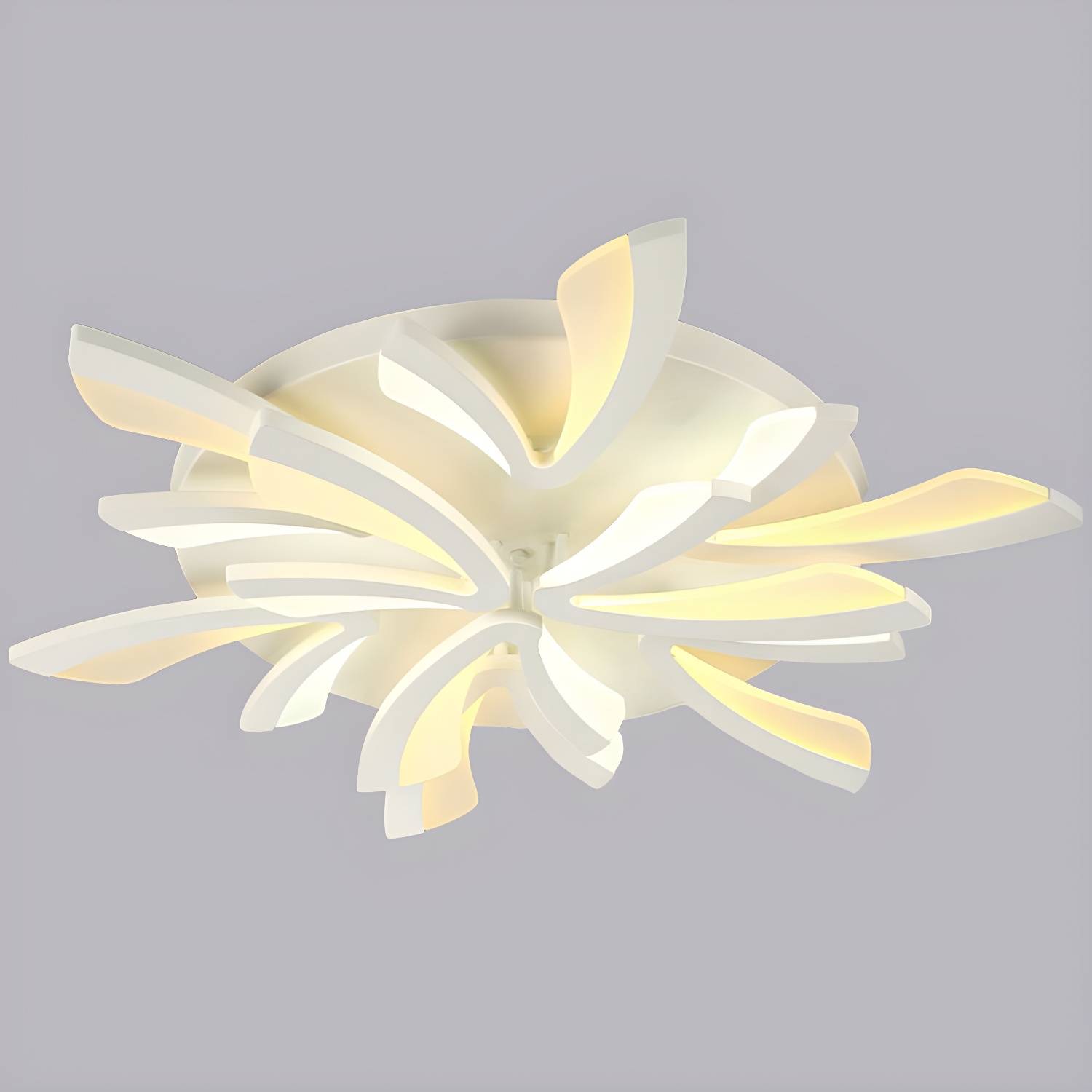 Imported image 338ddf0089a4 2228205.jpg