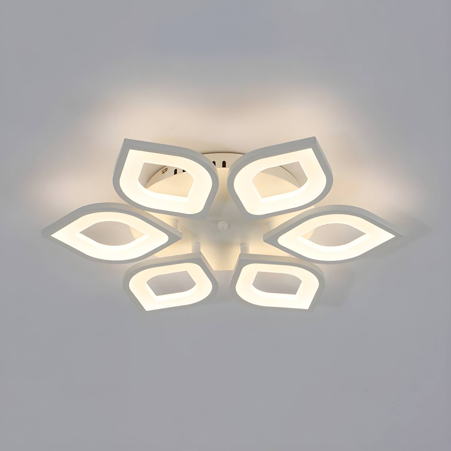 Imported image c9f8b17c11b0 2228222.jpg