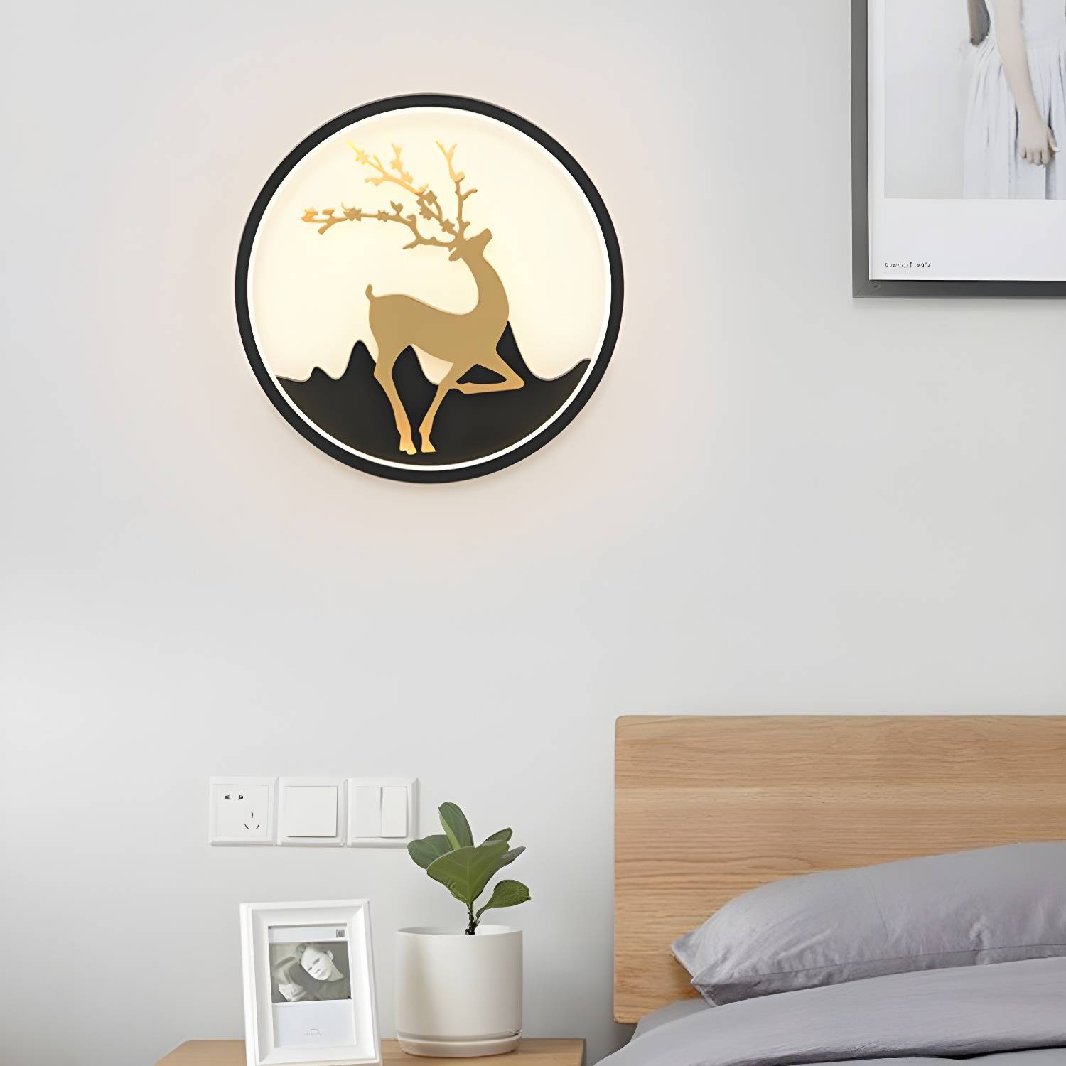 Imported image b44c22b6bb8c 2228391.jpg