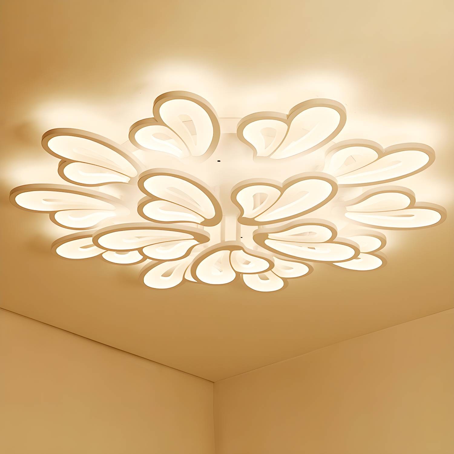 Imported image 70cc69f1194a 2228447.jpg