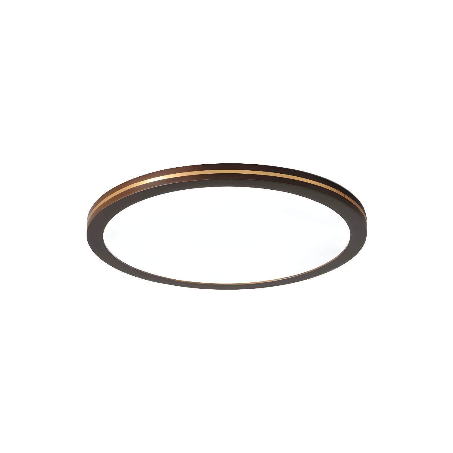 Imported image 63ca7404d73d 2228726.jpg