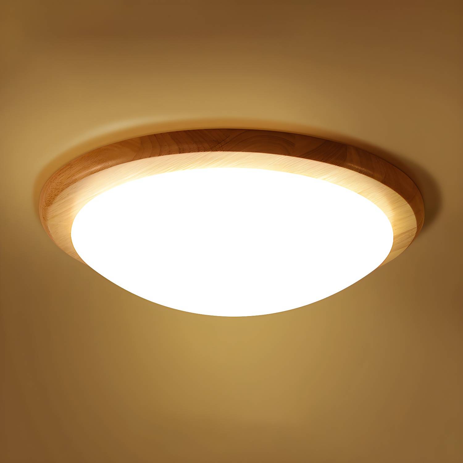 Imported image 0a9f82b0c11d 2228770.jpg