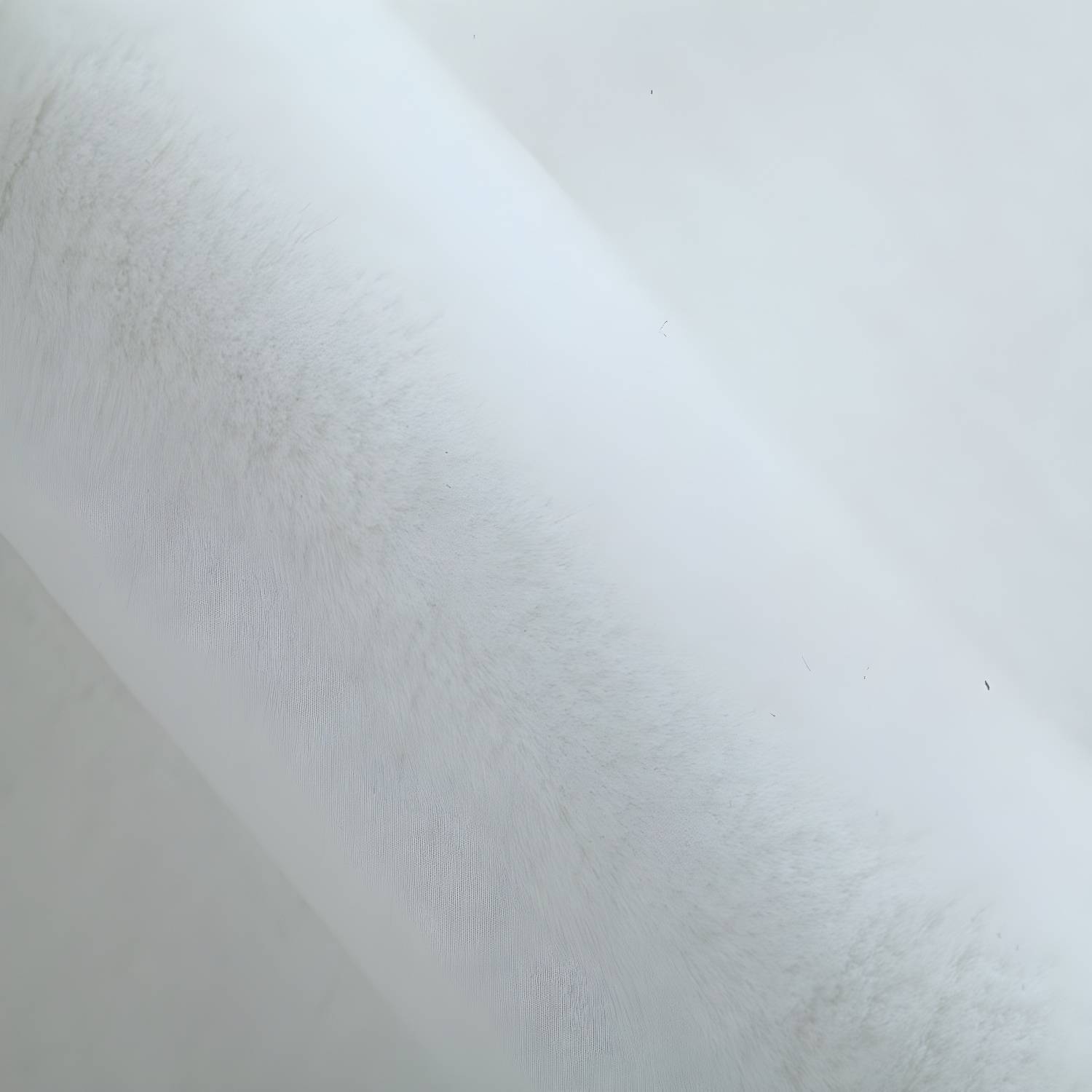 Imported image 5e54f2419a9c 2242039.jpg