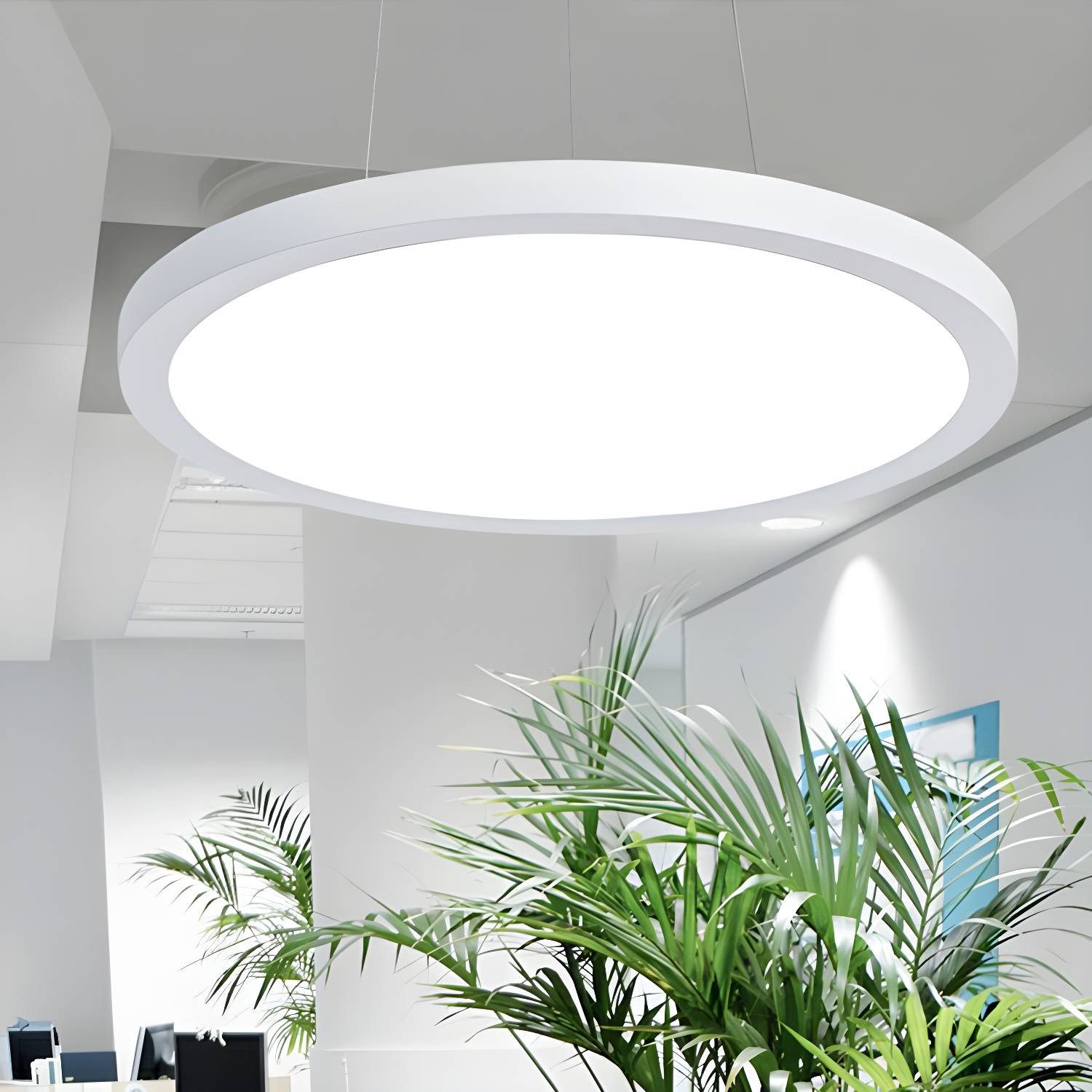 Imported image 3d728f114b7b 2252825.jpg