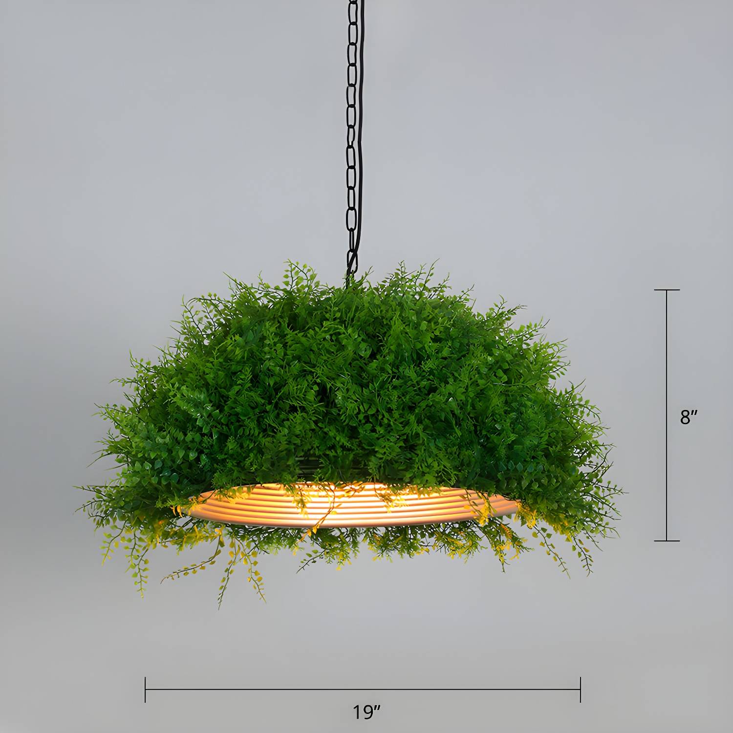 Imported image 4579a053de0c 2255532.jpg