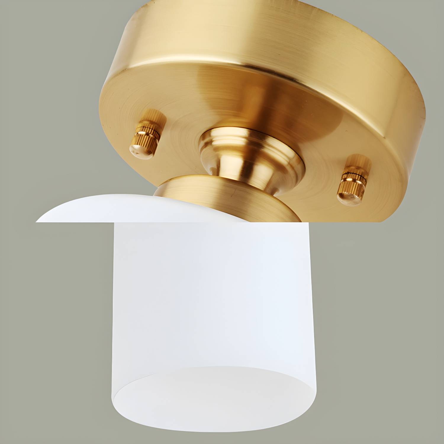 Imported image d38cecb7e02c 226509.jpg