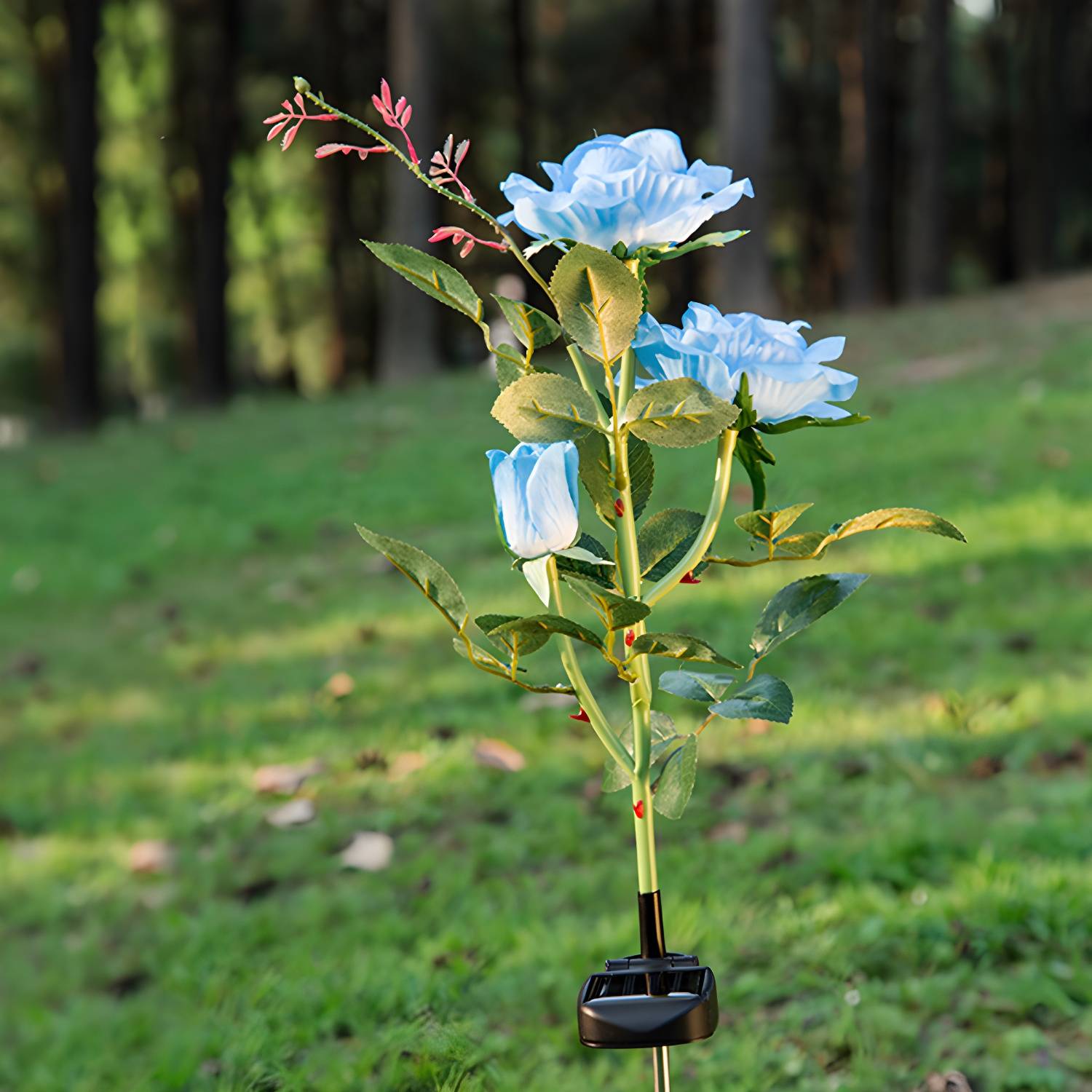 Imported image d14ffa545689 2274868.jpg