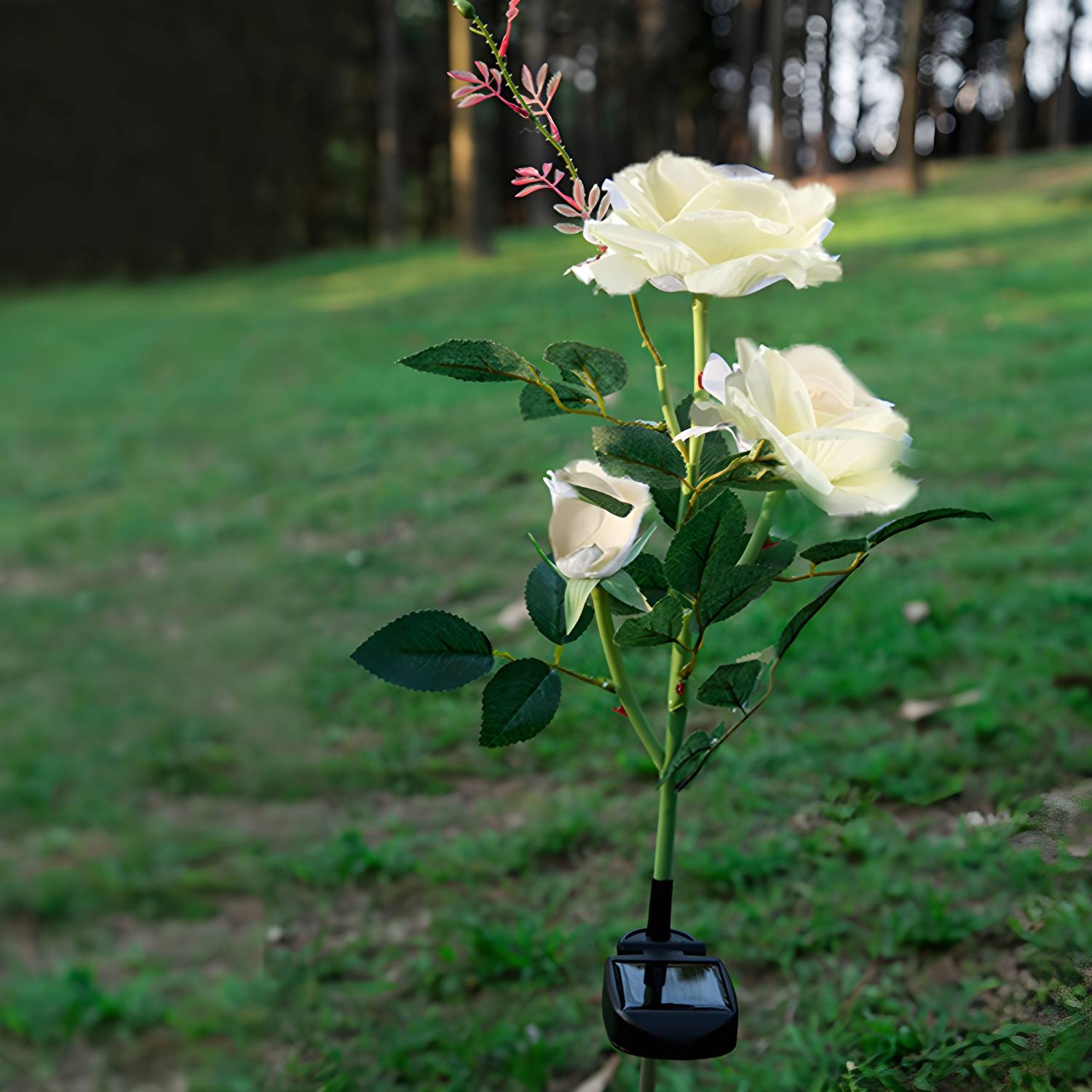 Imported image c6b432f6139f 2274870.jpg