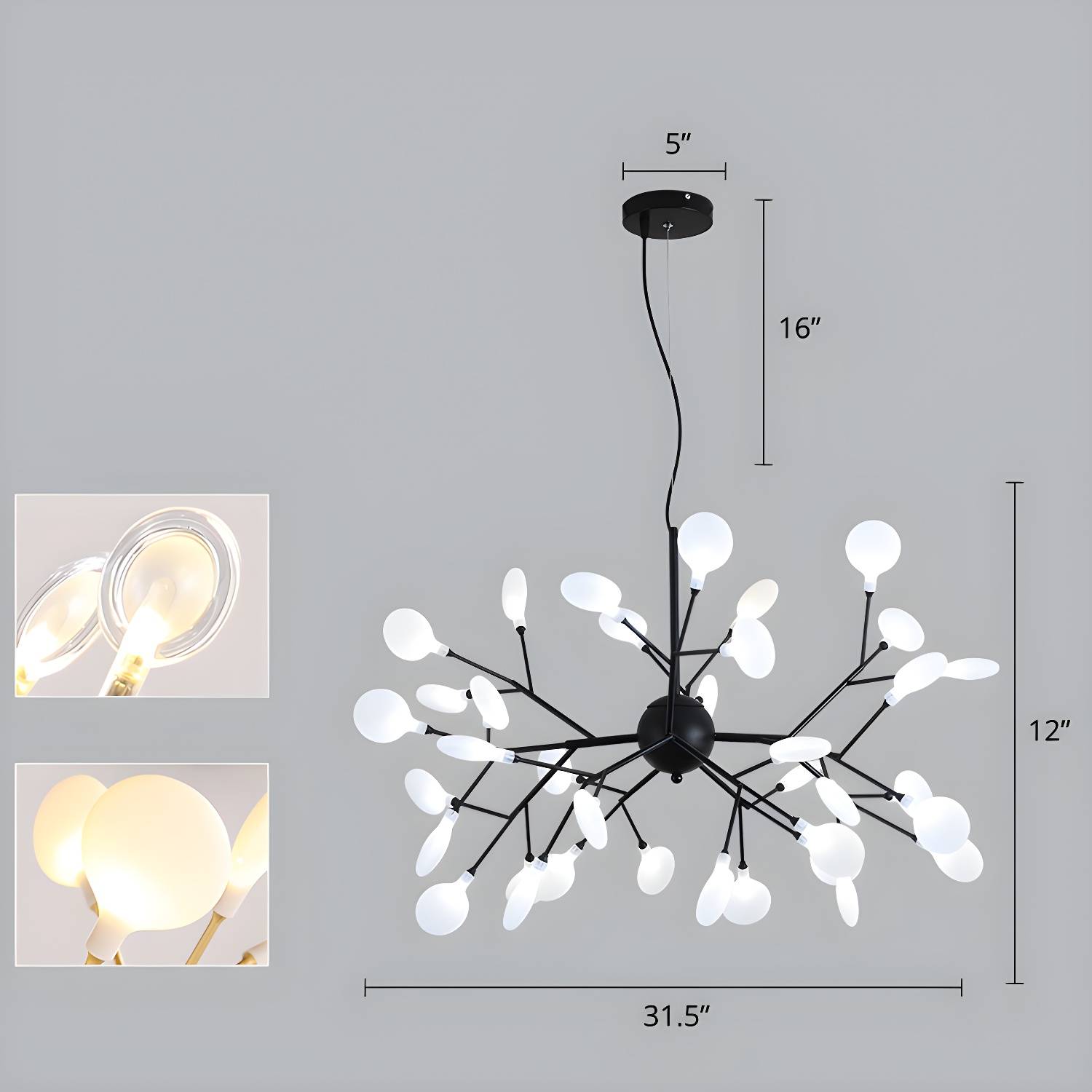Imported image 1f81439e7463 2275645.jpg