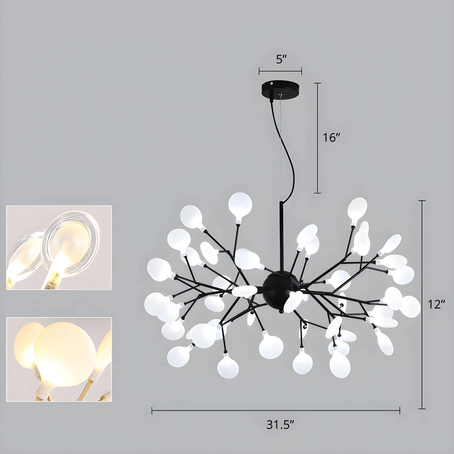 Imported image 8b6b877b70e3 2275646.jpg