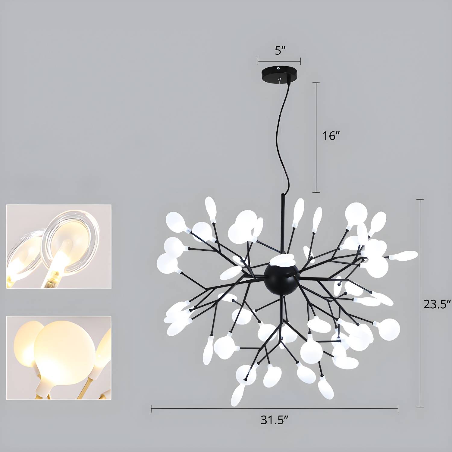 Imported image e0851dd80b16 2275649.jpg