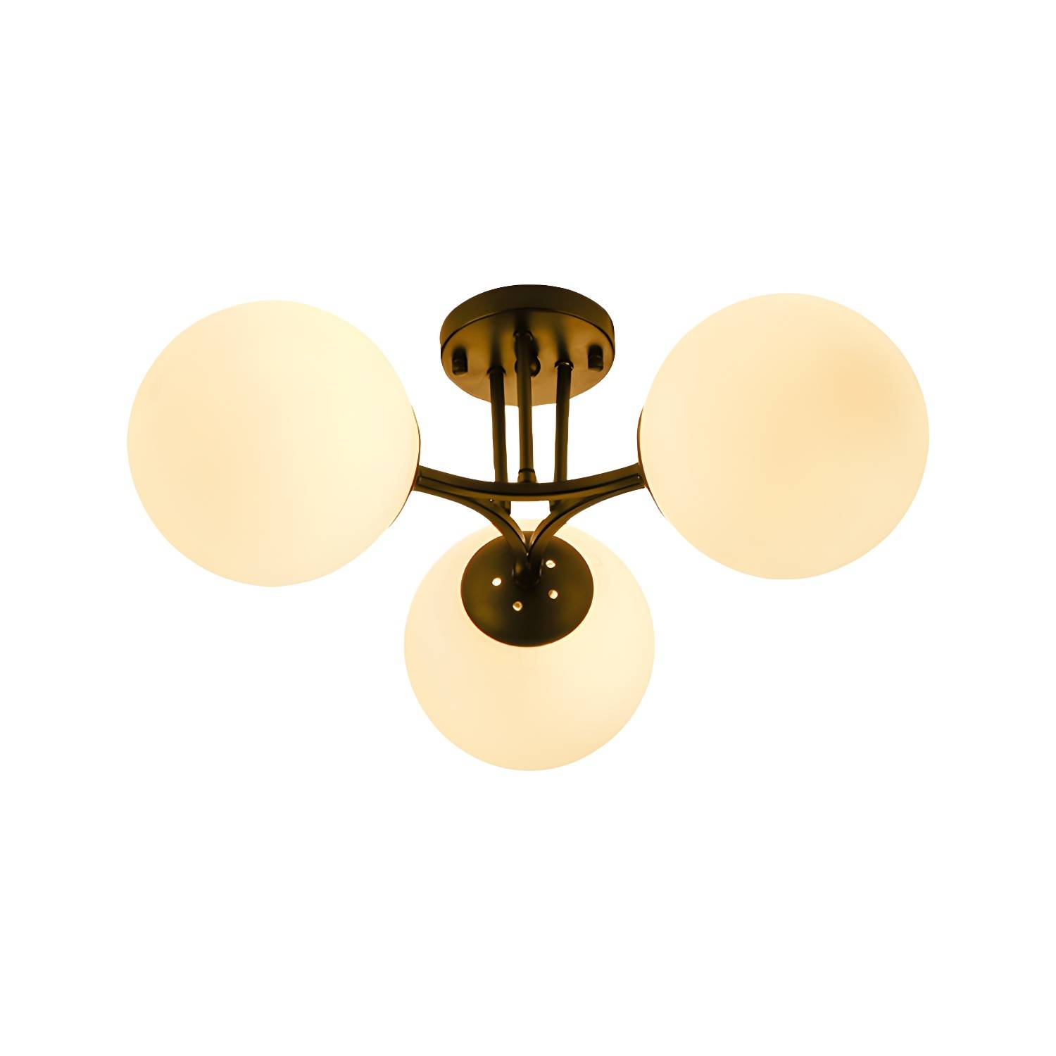 Imported image f85e06411a12 228051.jpg