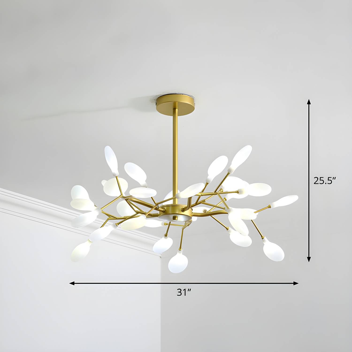 Imported image 8a98fc2334fa 2282609.jpg