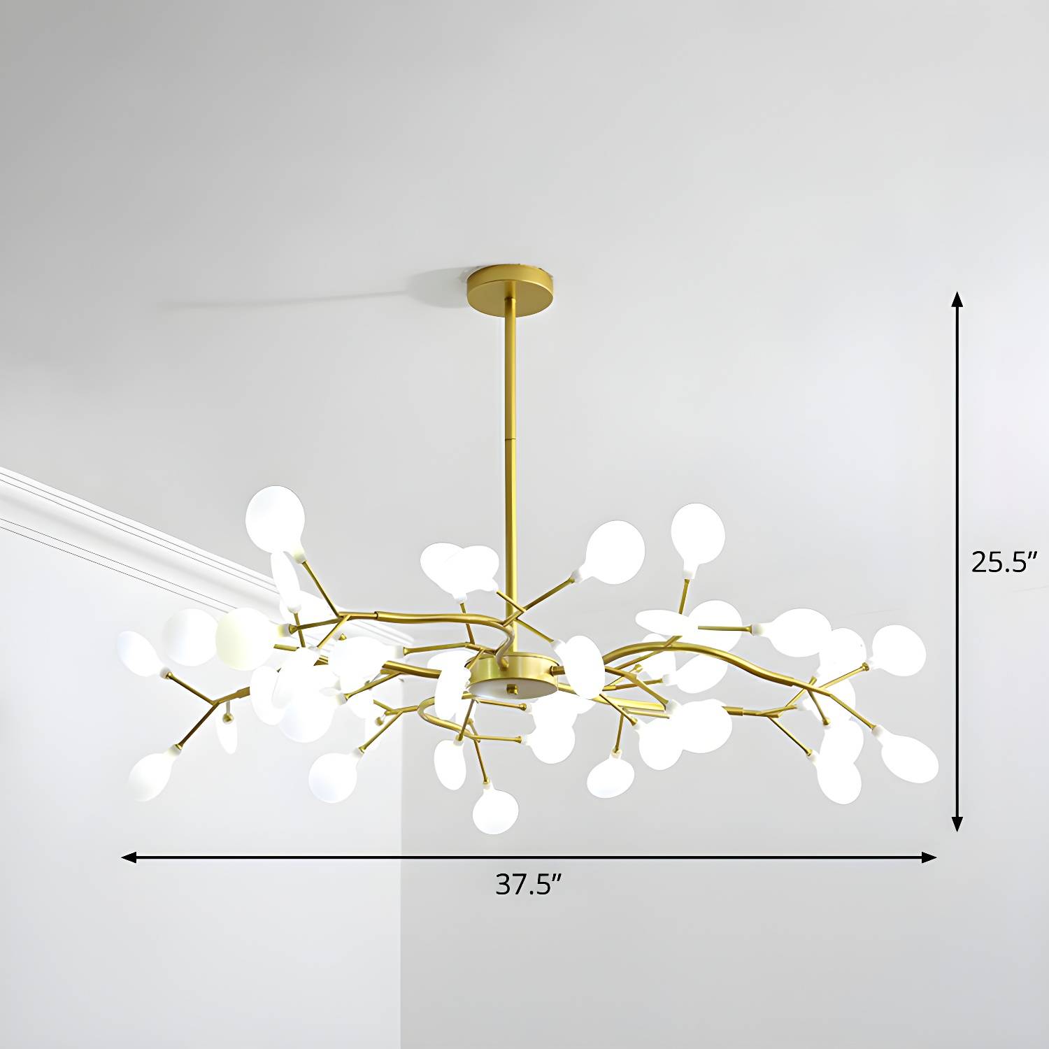 Imported image d1078d000f57 2282612.jpg