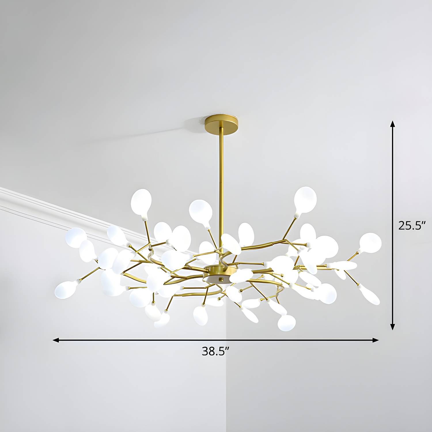 Imported image a3267ccd3bc7 2282613.jpg